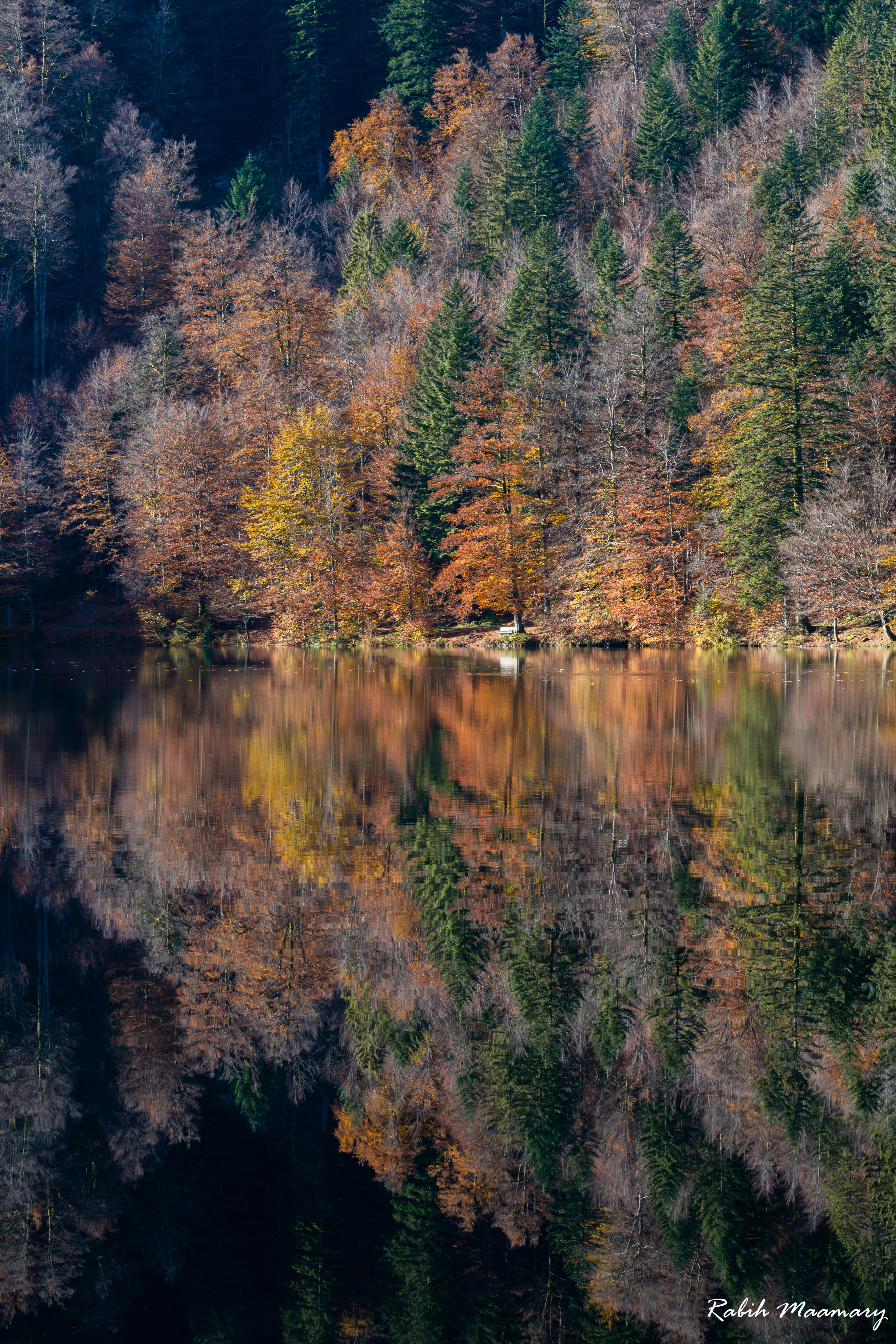 Vosges - France