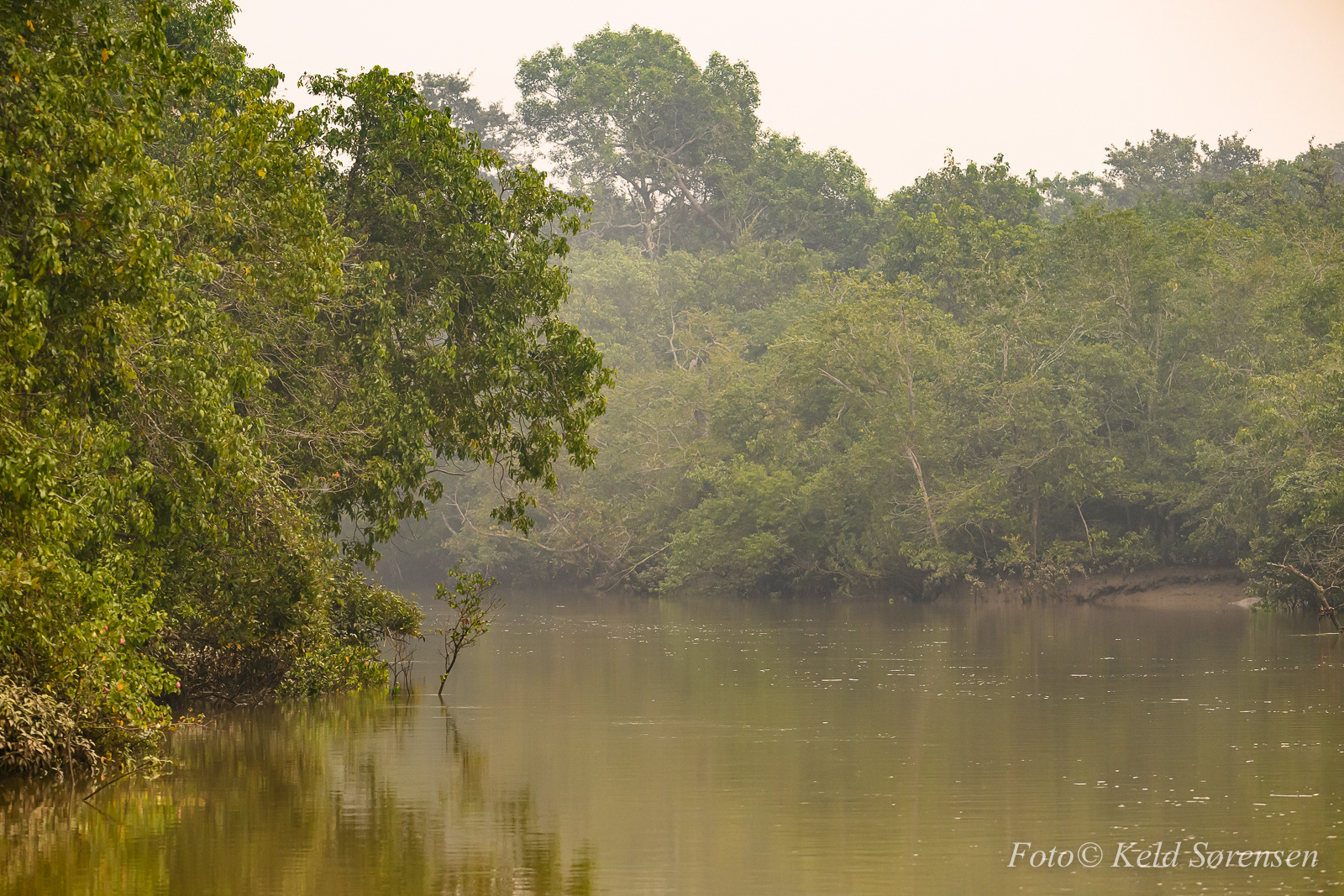 Bhitarkanika Mangroves