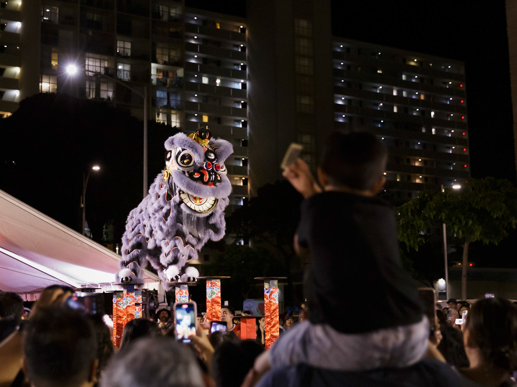 A kid offers money to the lion while the lion is doing acrobats up on poles.