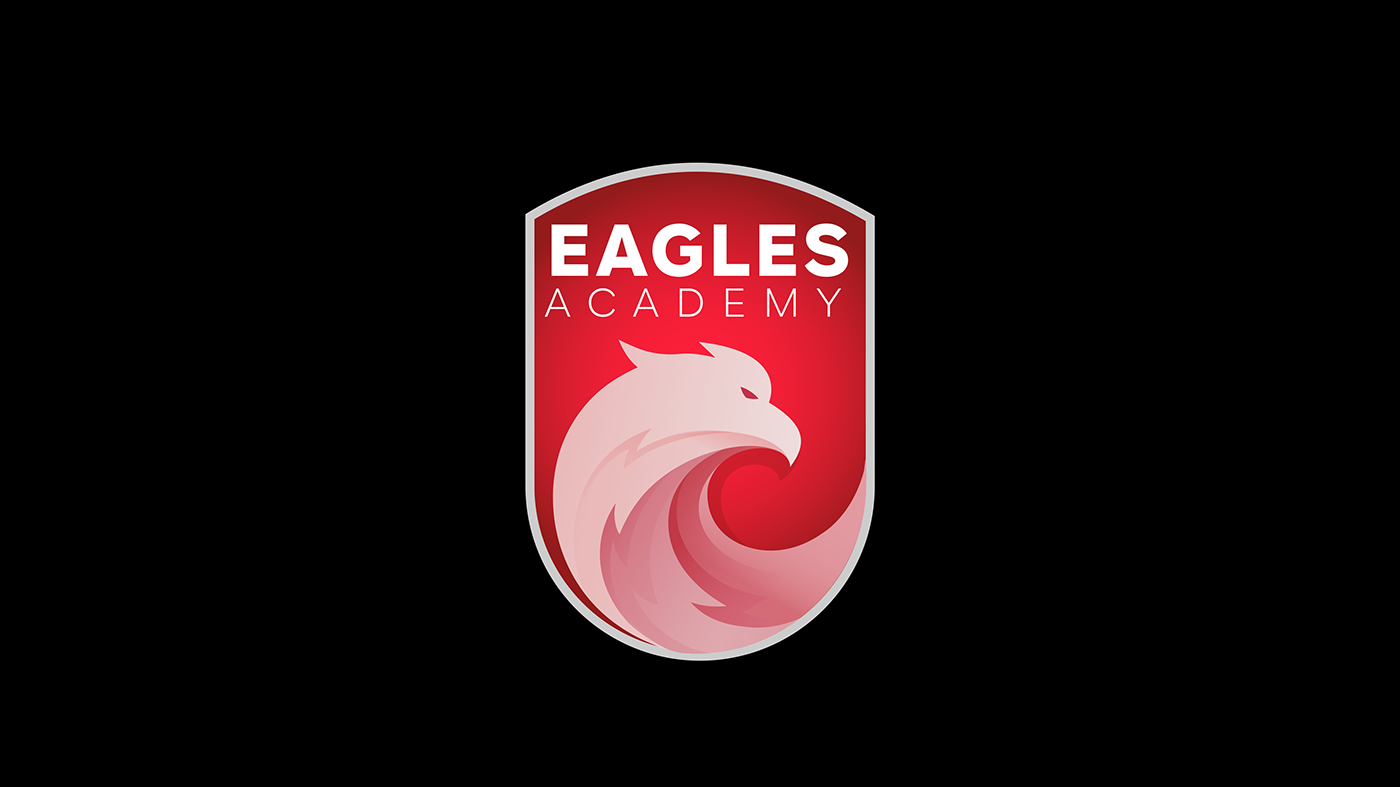 Flyxel Studio Eagles Academy Visual Identity