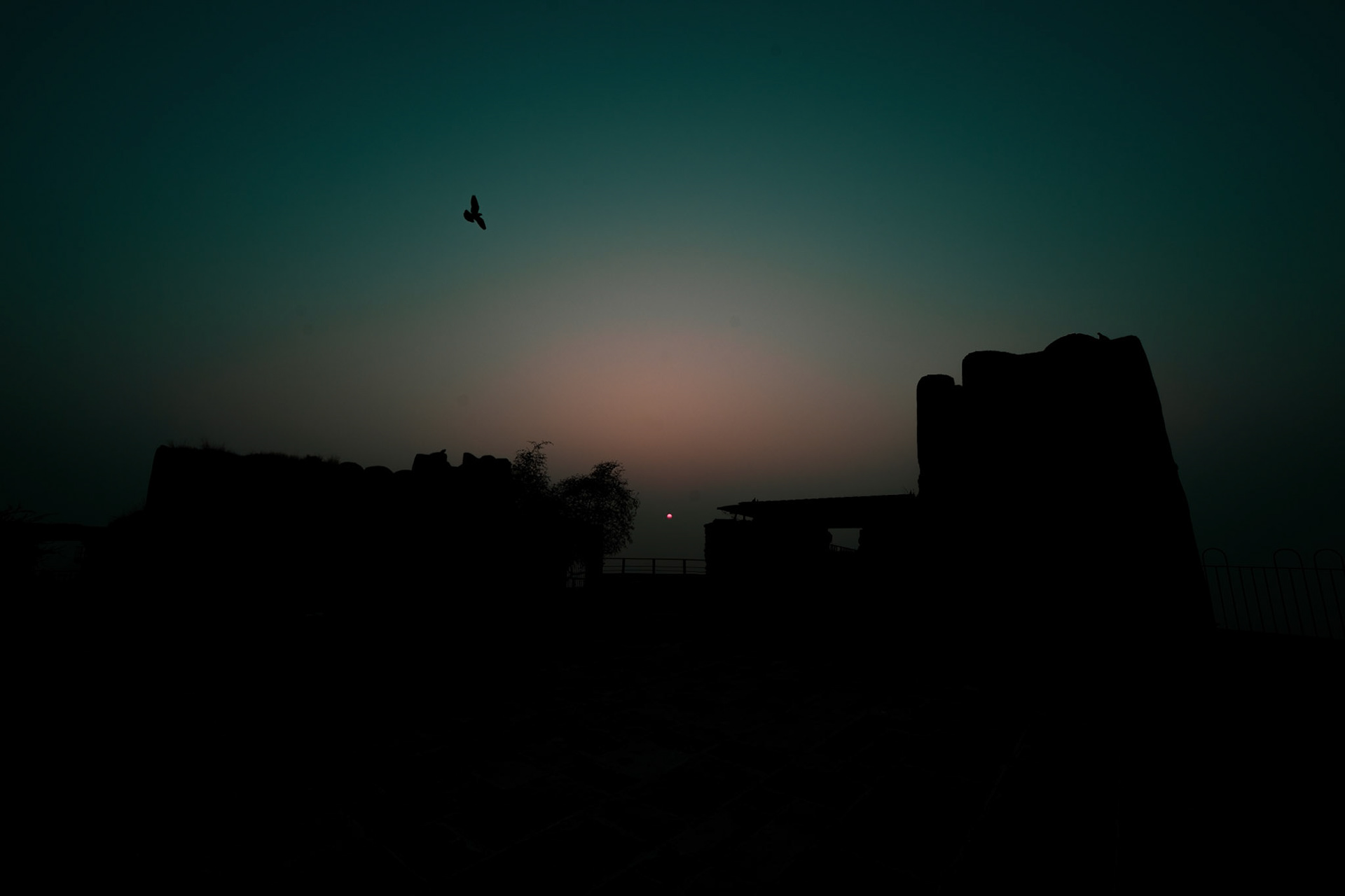 Sunrise over Rajasthan fort