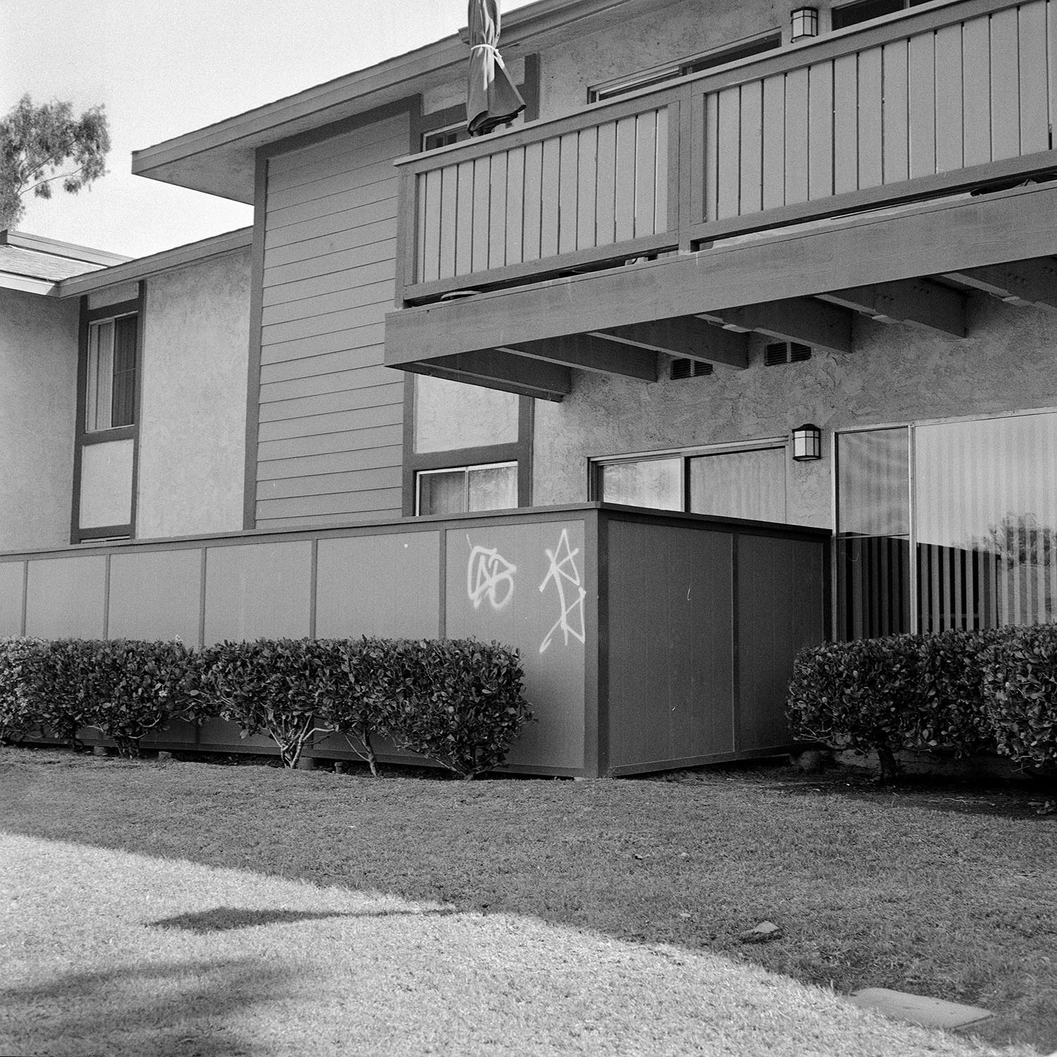 Name: Megan Hockaday Location: 500 block W Vineyard Ave. Oxnard, CA 93036 Date: March 28, 2015 Time: Early morning