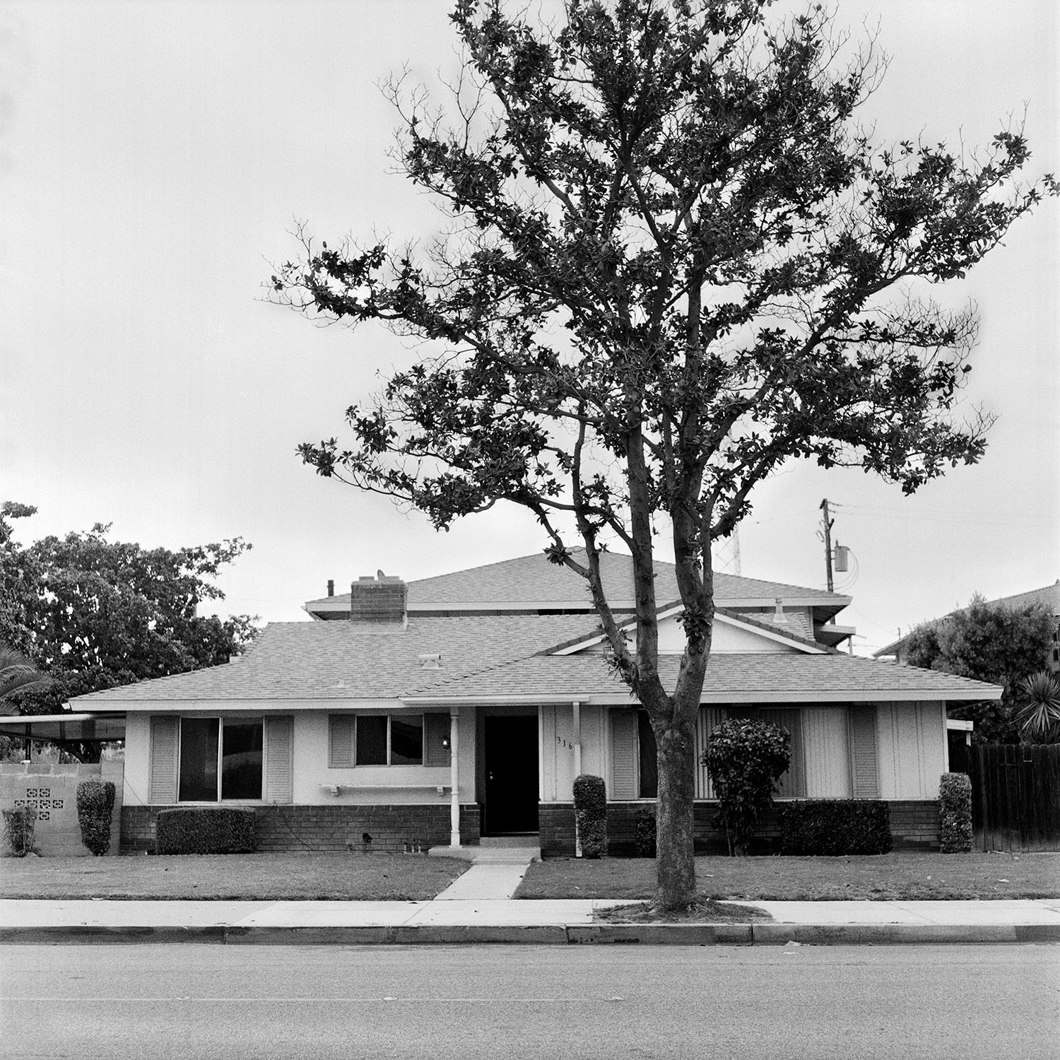 Name: Julian Alexander  Location: 300 block N. Muller St. Anaheim, CA 92801  Date:  October 28, 2008  Time: About 1:30am