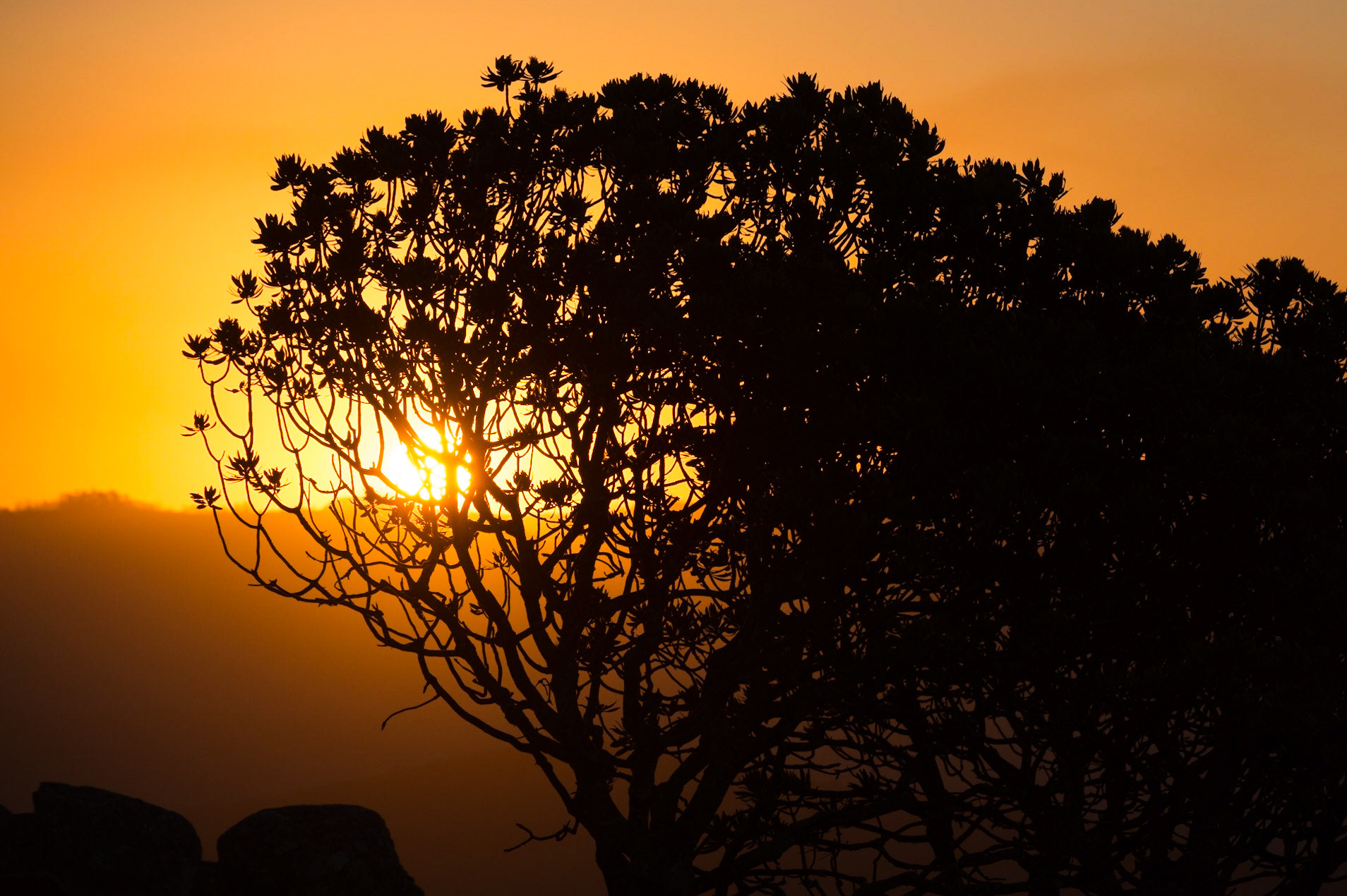 Sunset at Mount Thesiger, Port St Johns, South Africa