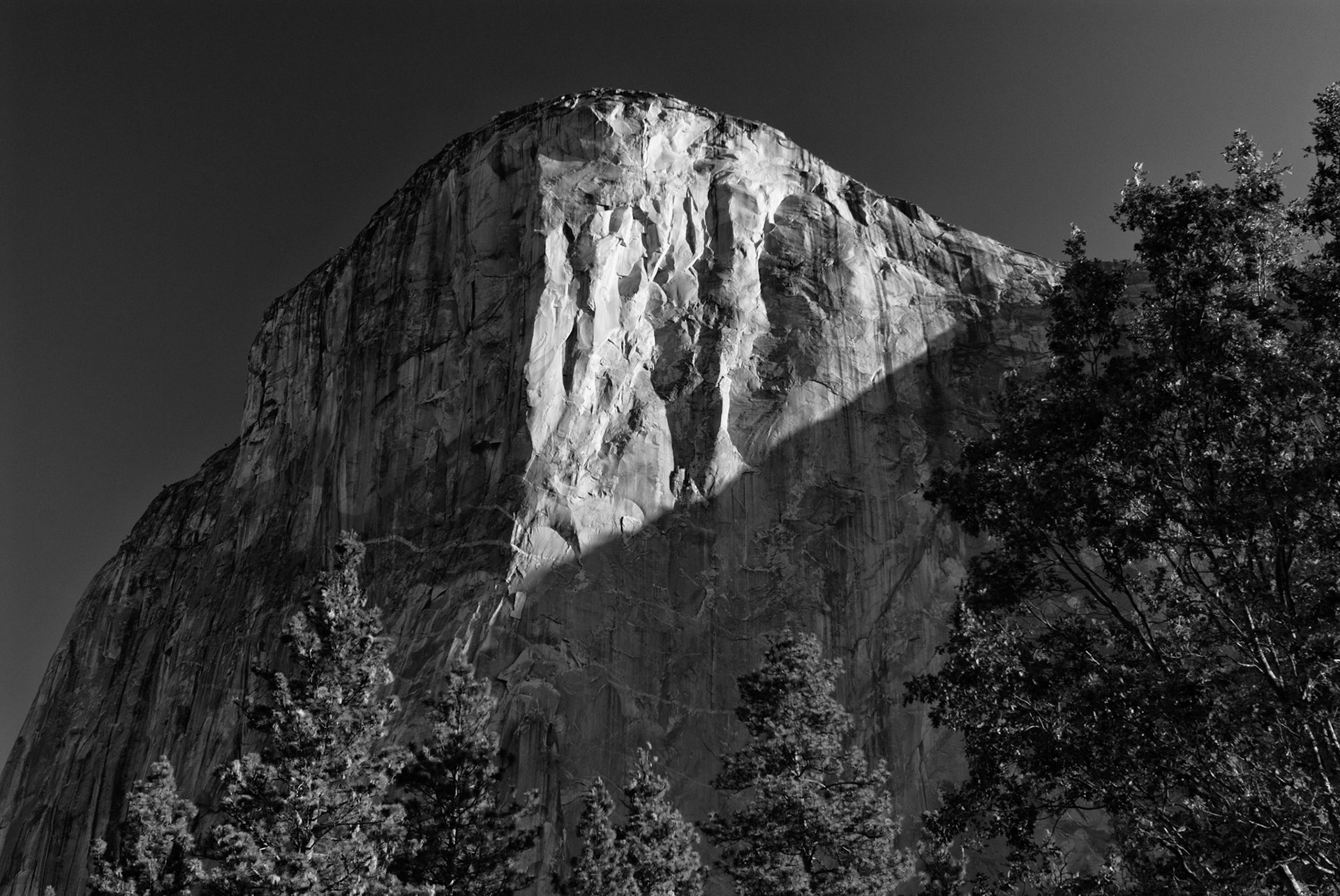 El Capitan at Dawn from El Capitan Meadow, Yosemite National Park, California