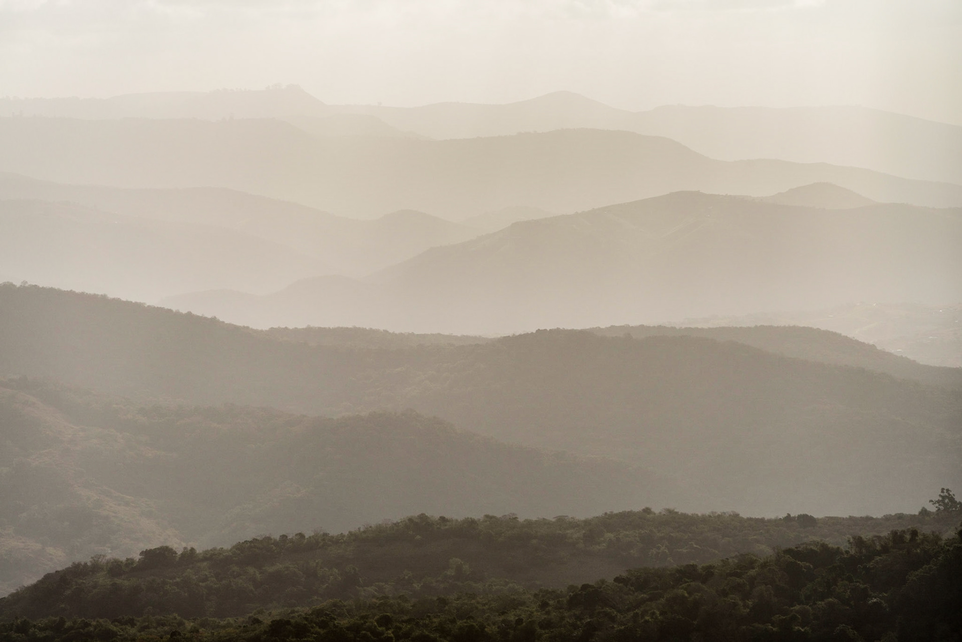 Mist Over the Transkei, Mount Thesiger, Port St Johns, South Africa