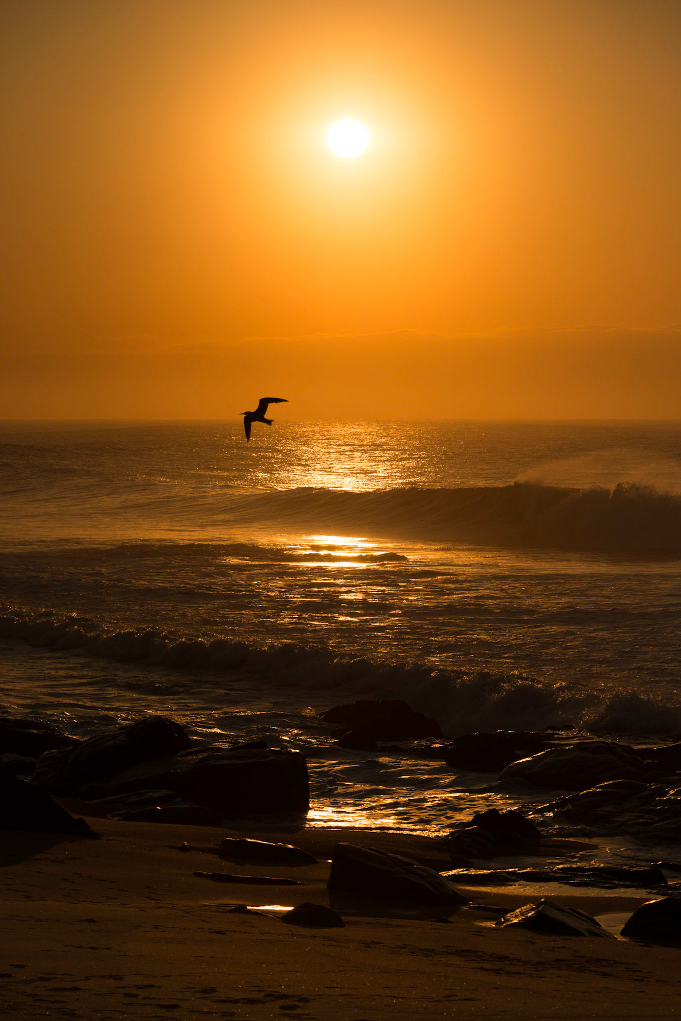 "Around The Sun 1", Umkomaas, KwaZulu-Natal, South Africa