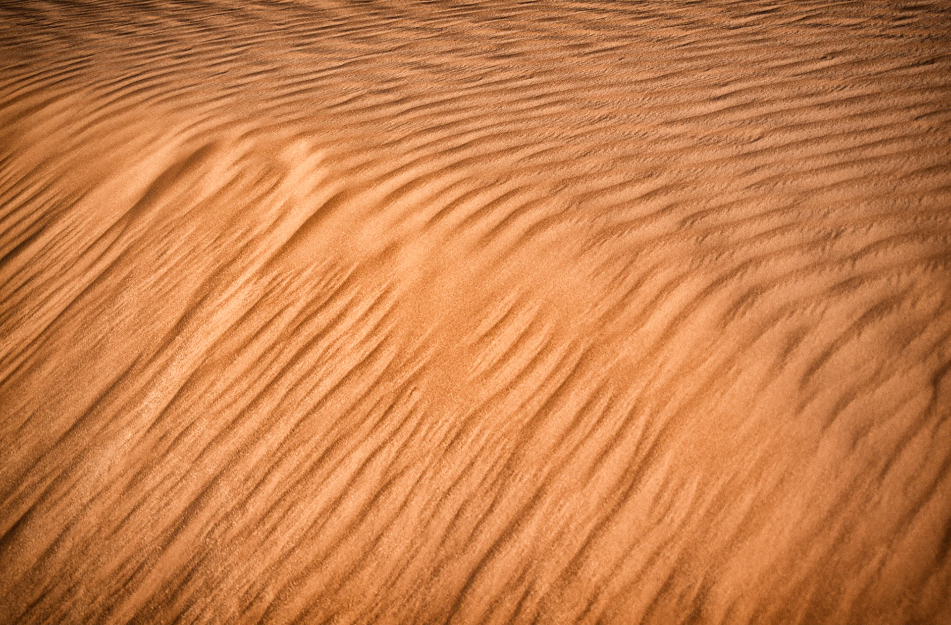 Sand Dune Abstract, Monument Valley, Arizona / Utah