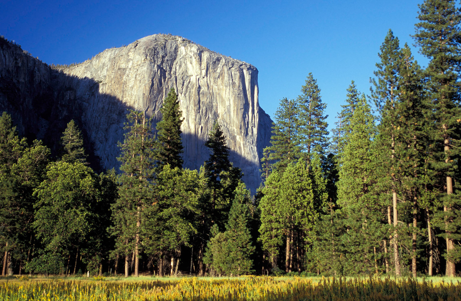 El Capitan, Yosemite National Park, California