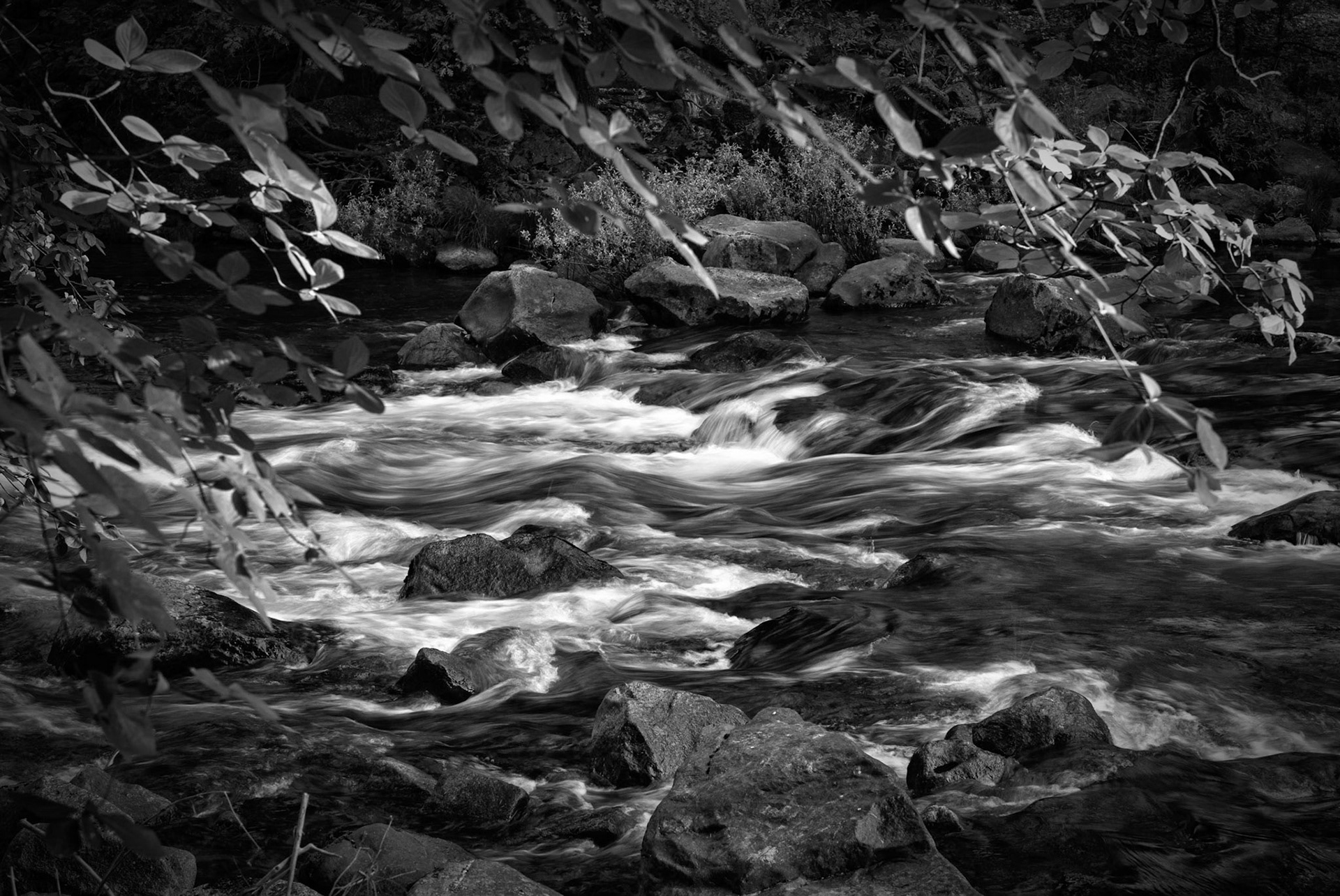 "Merced in the Morning", near Pohono Bridge, Yosemite National Park, California