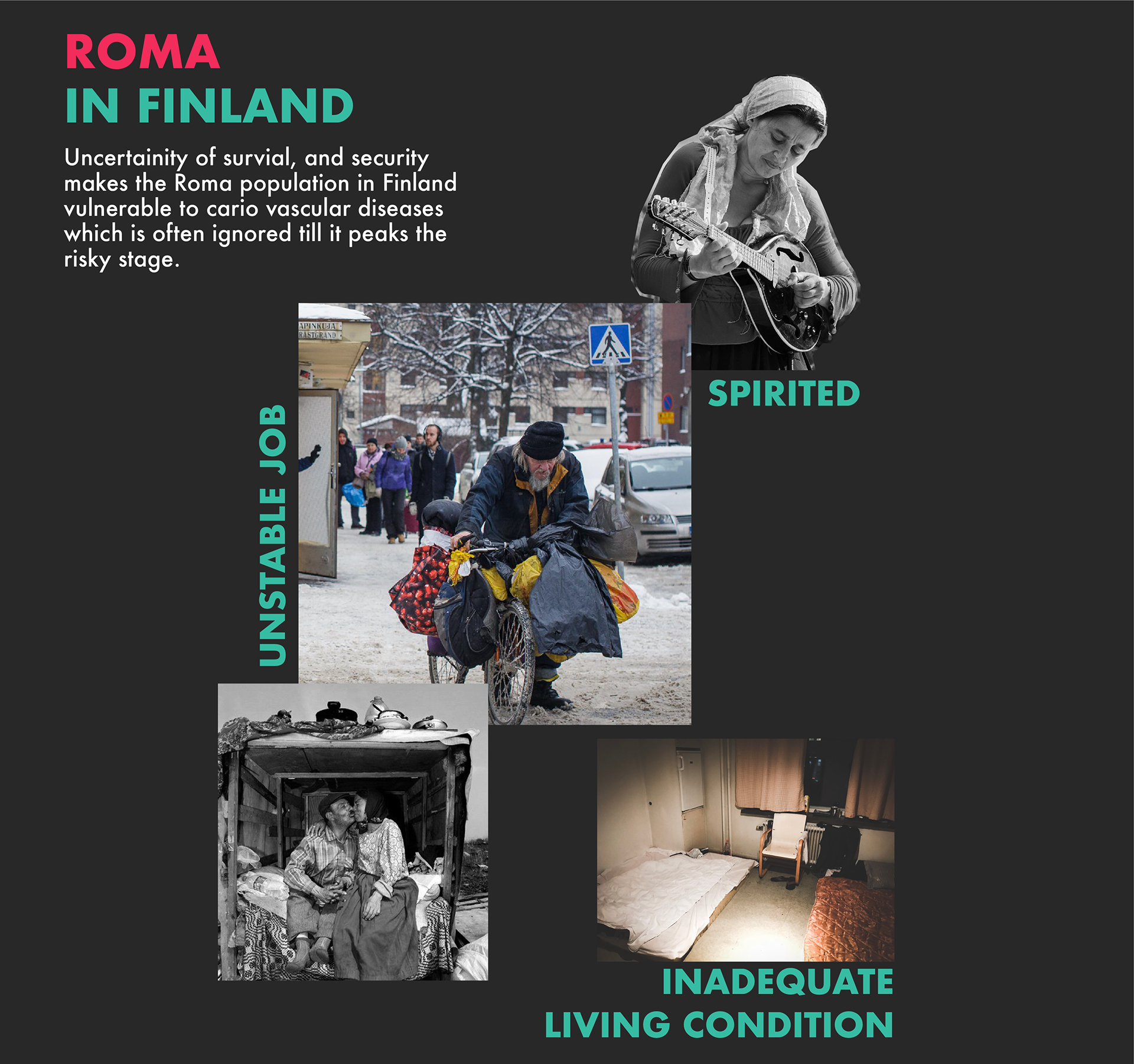 Characteristics of Roma