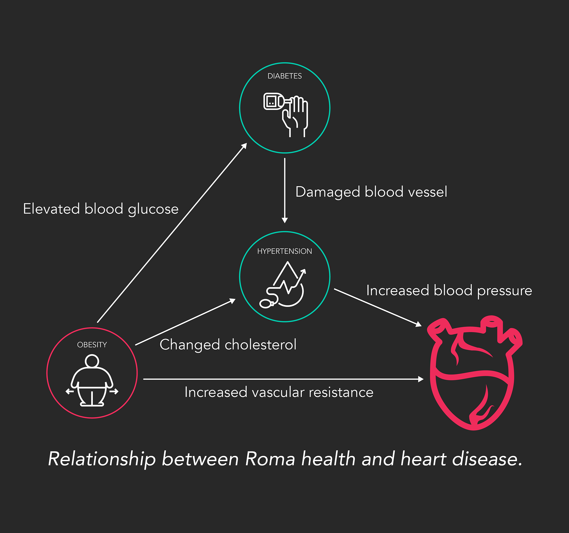 Relation between Roma's lifestyle and heart health