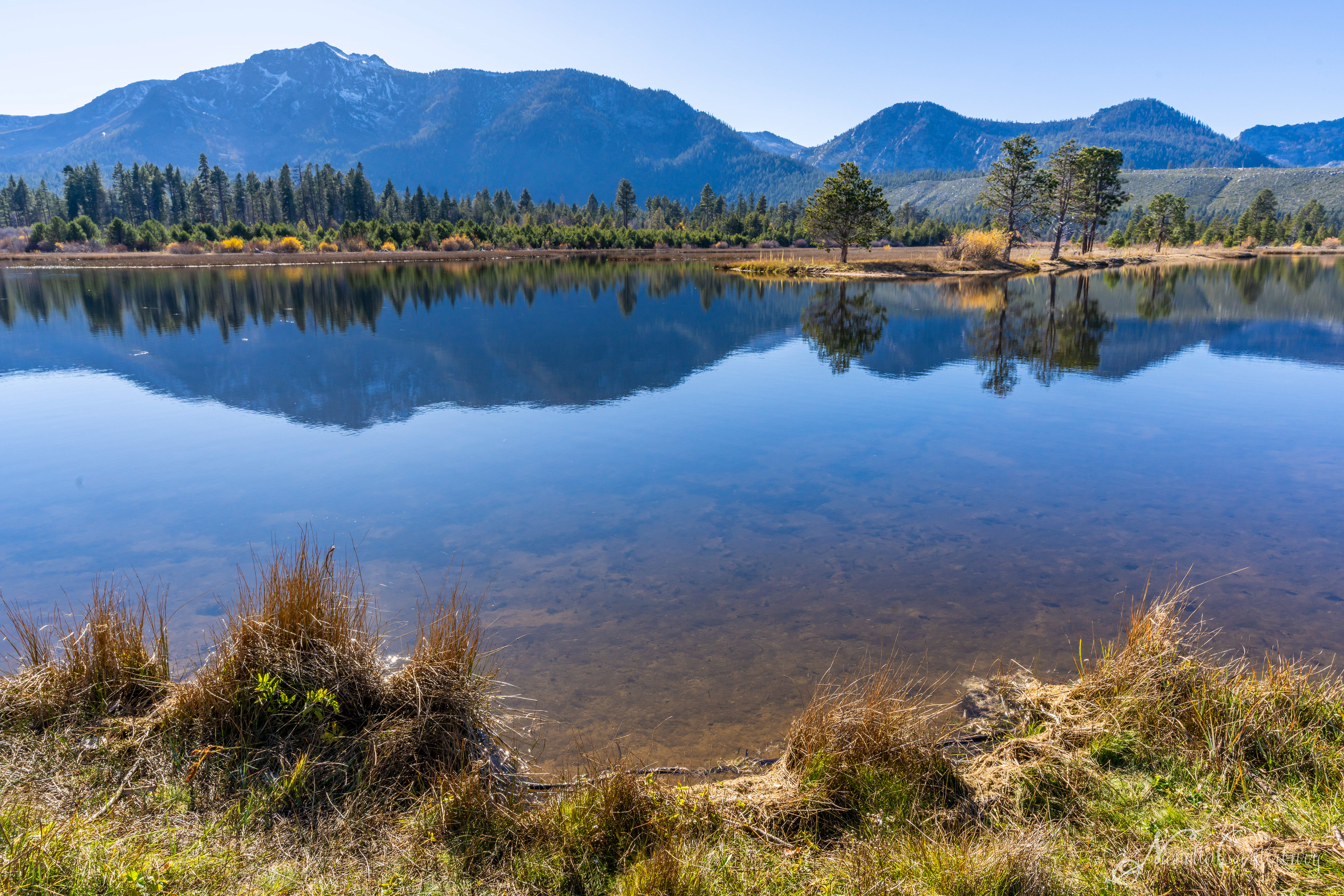 Taylor Creek Marsh