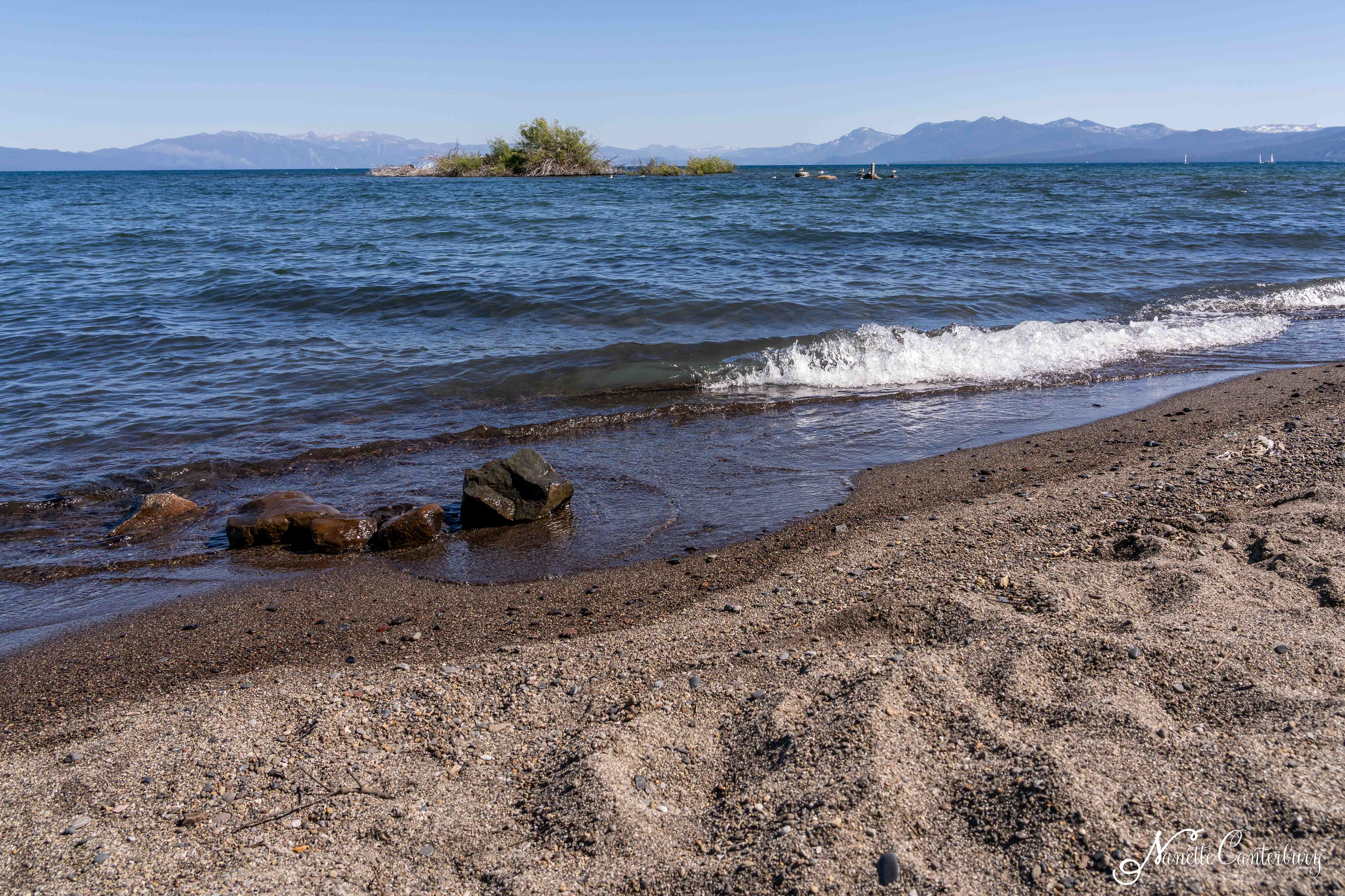 Lake Forest Beach Underwater