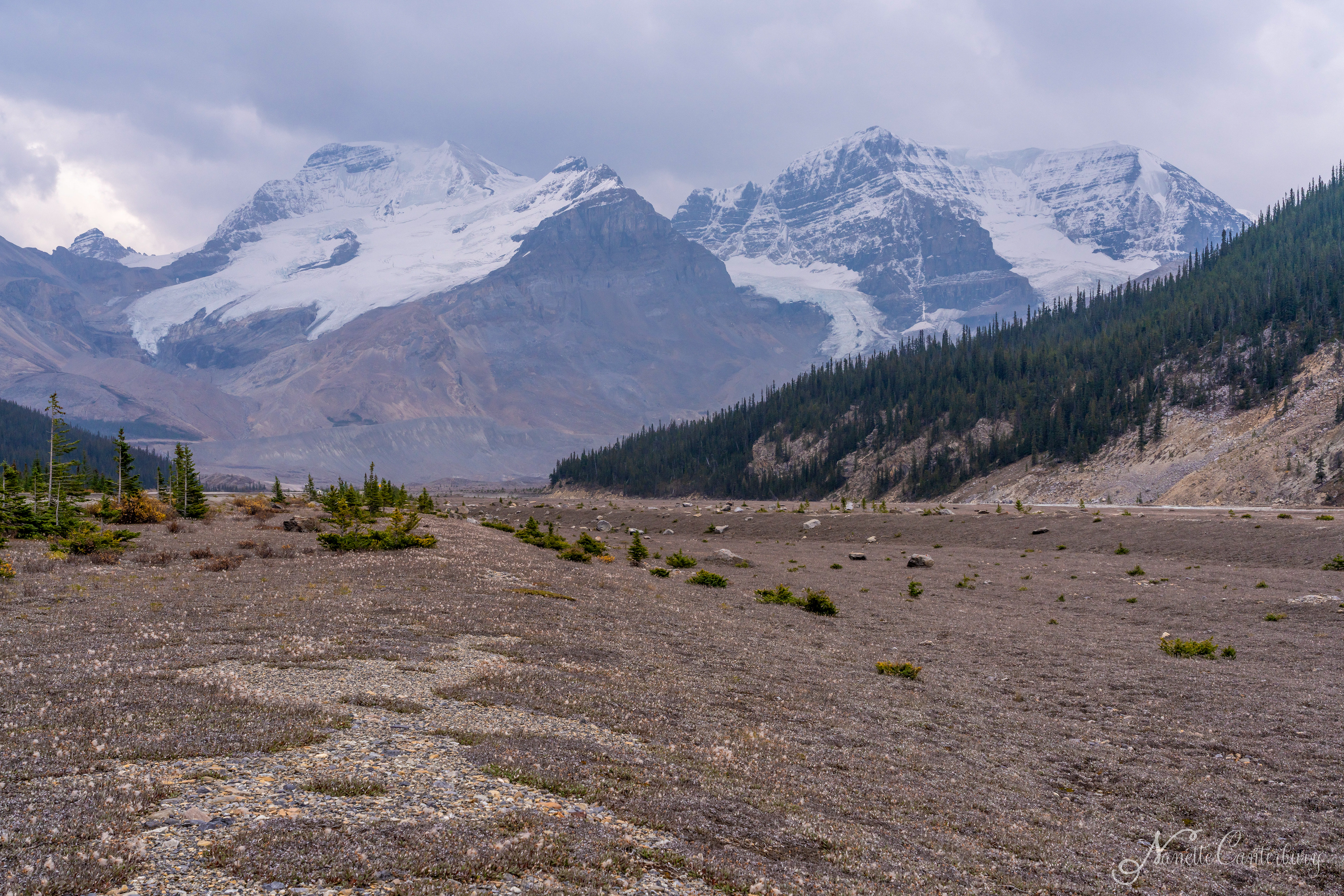 Glaciers