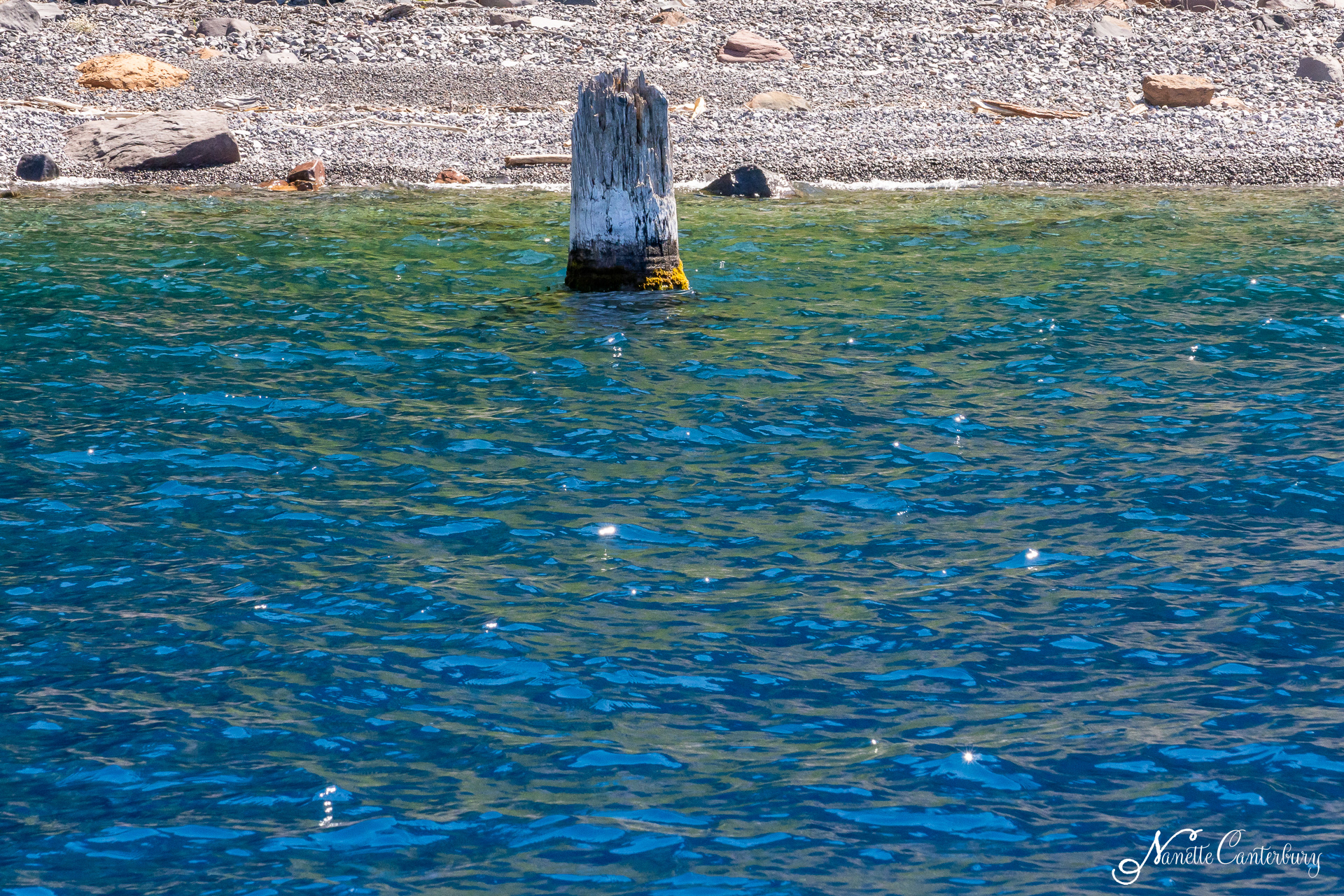"The OLD MAN" in Crater Lake is a free floating 30 foot log.