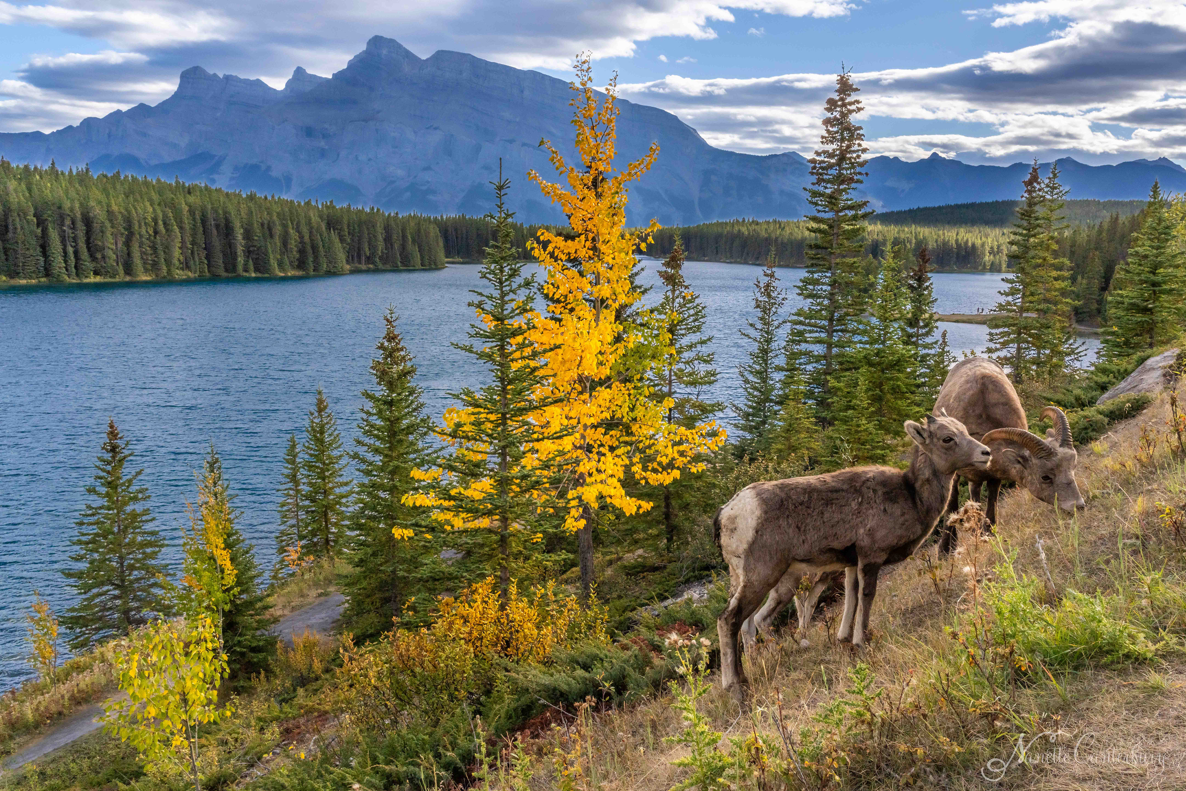 Two Jack Lake
