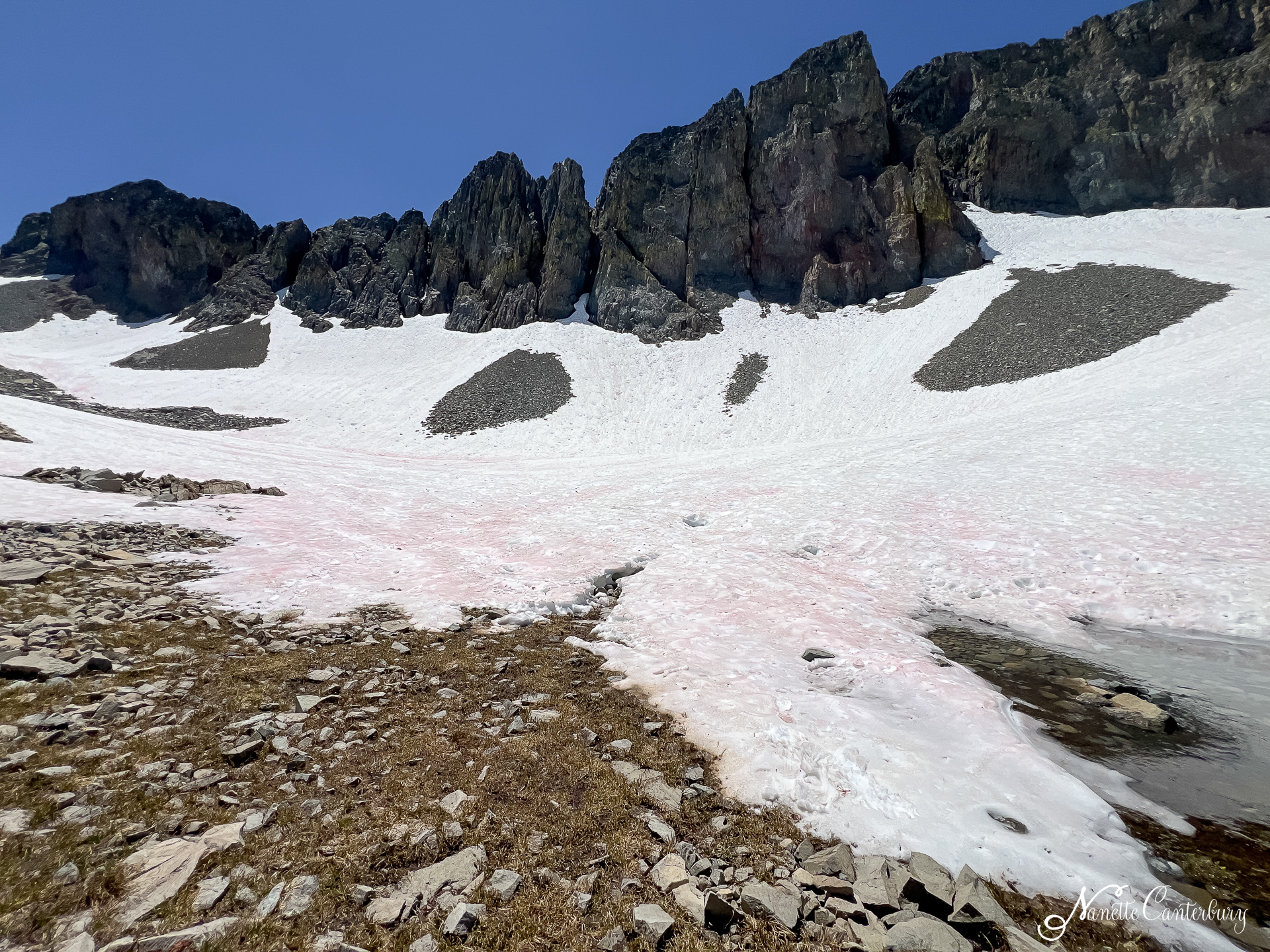 This is the Tarn covered in snow.