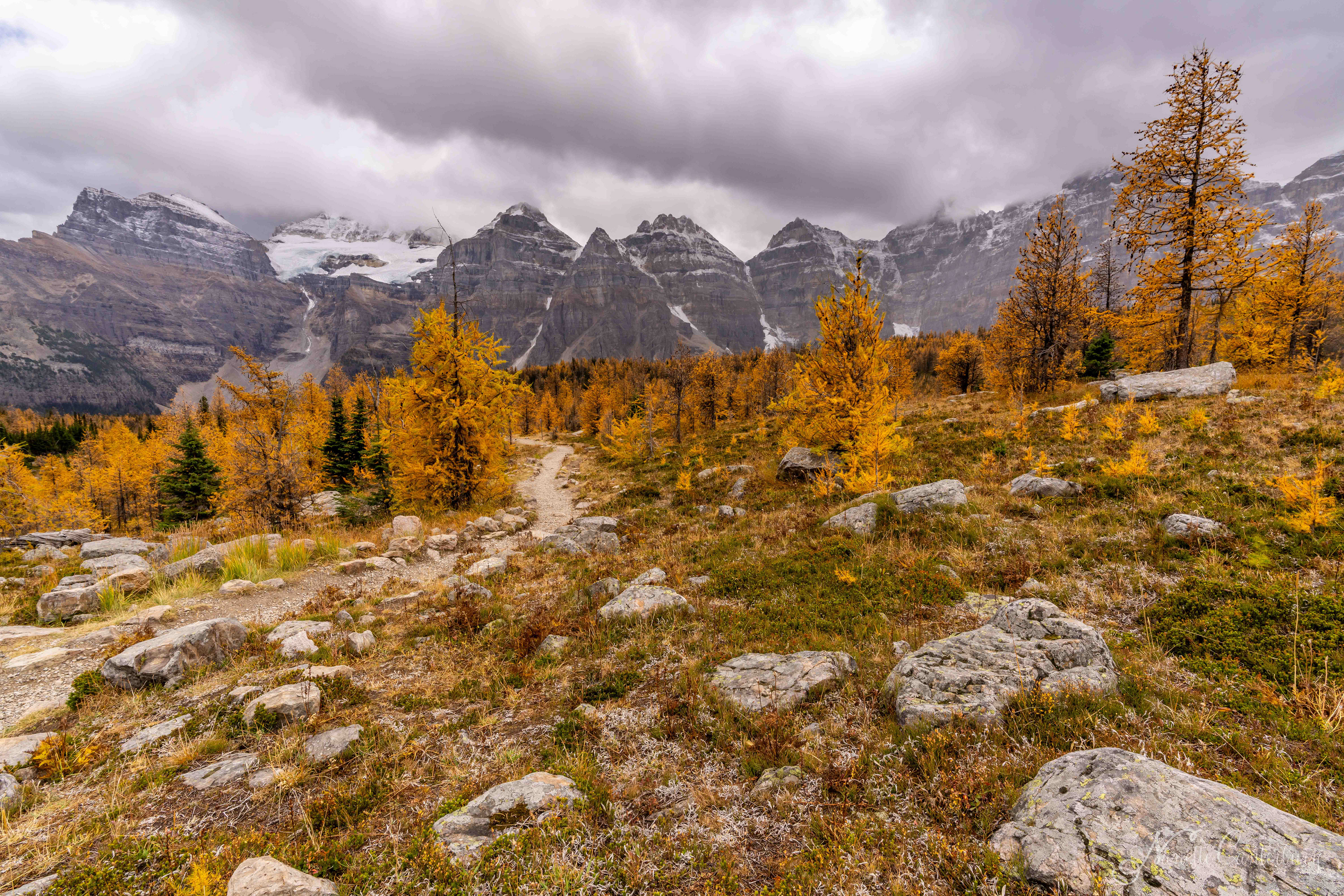 Larch Valley Trail
