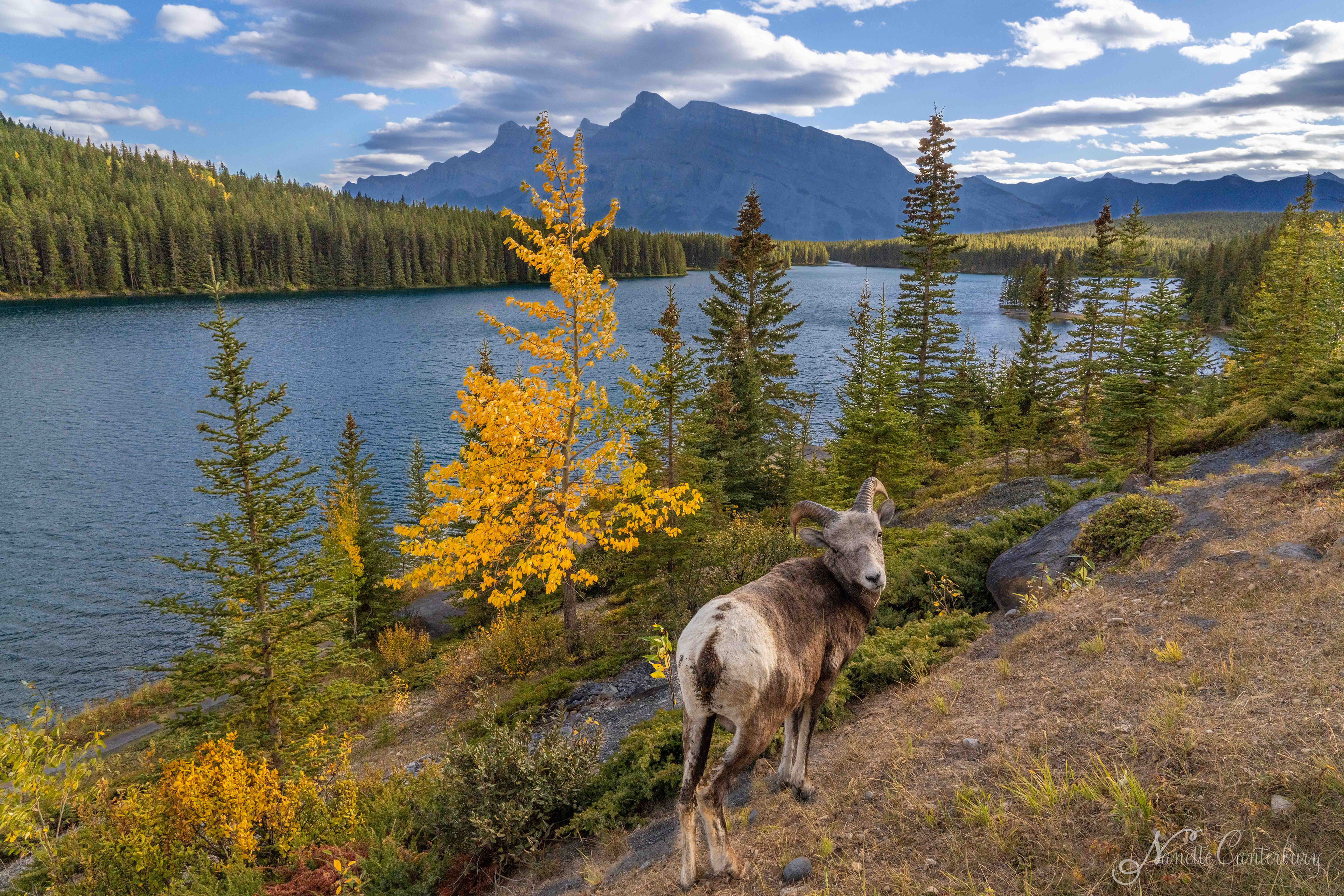 Two Jack Lake