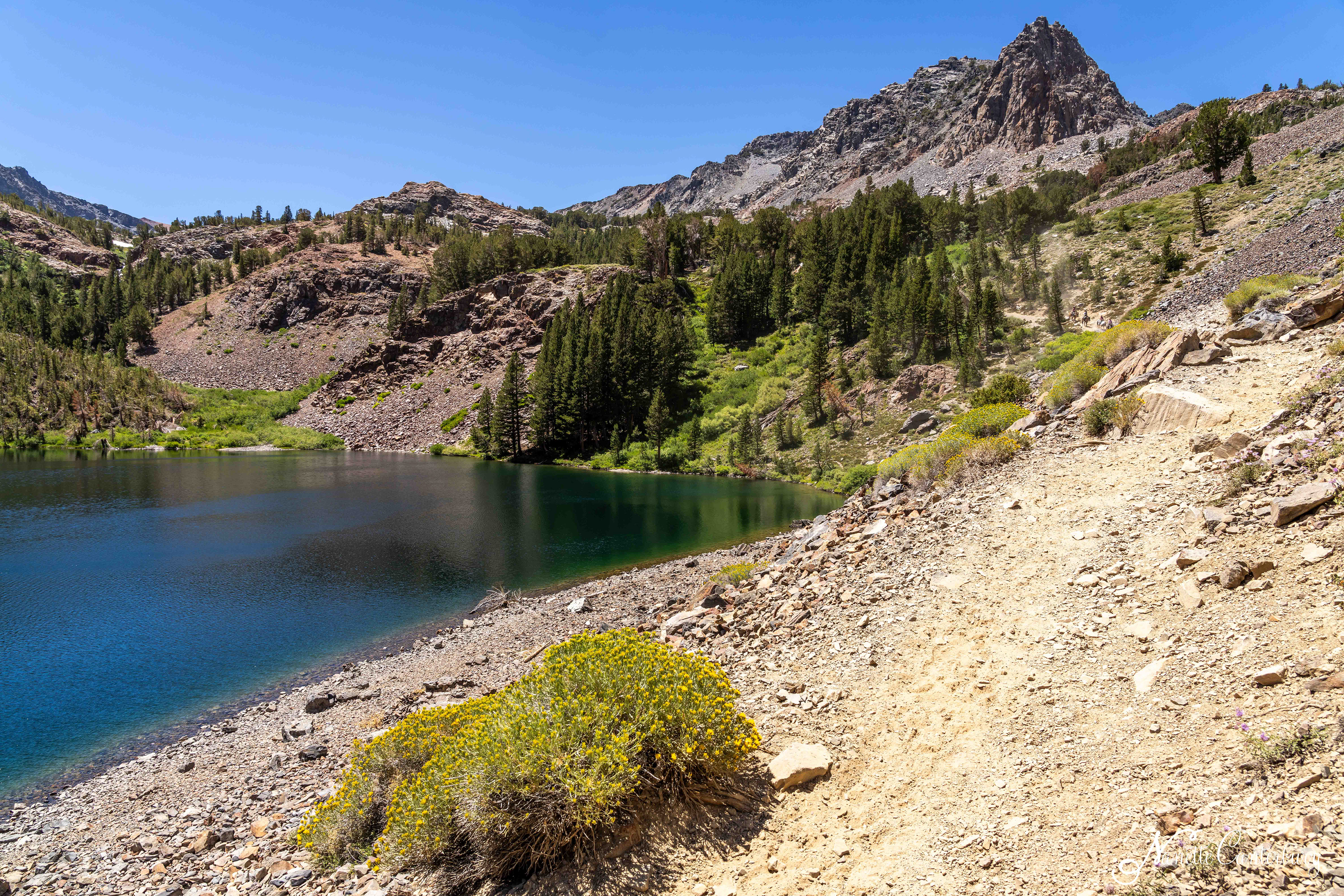 Blue Lake - Distant Mule Train