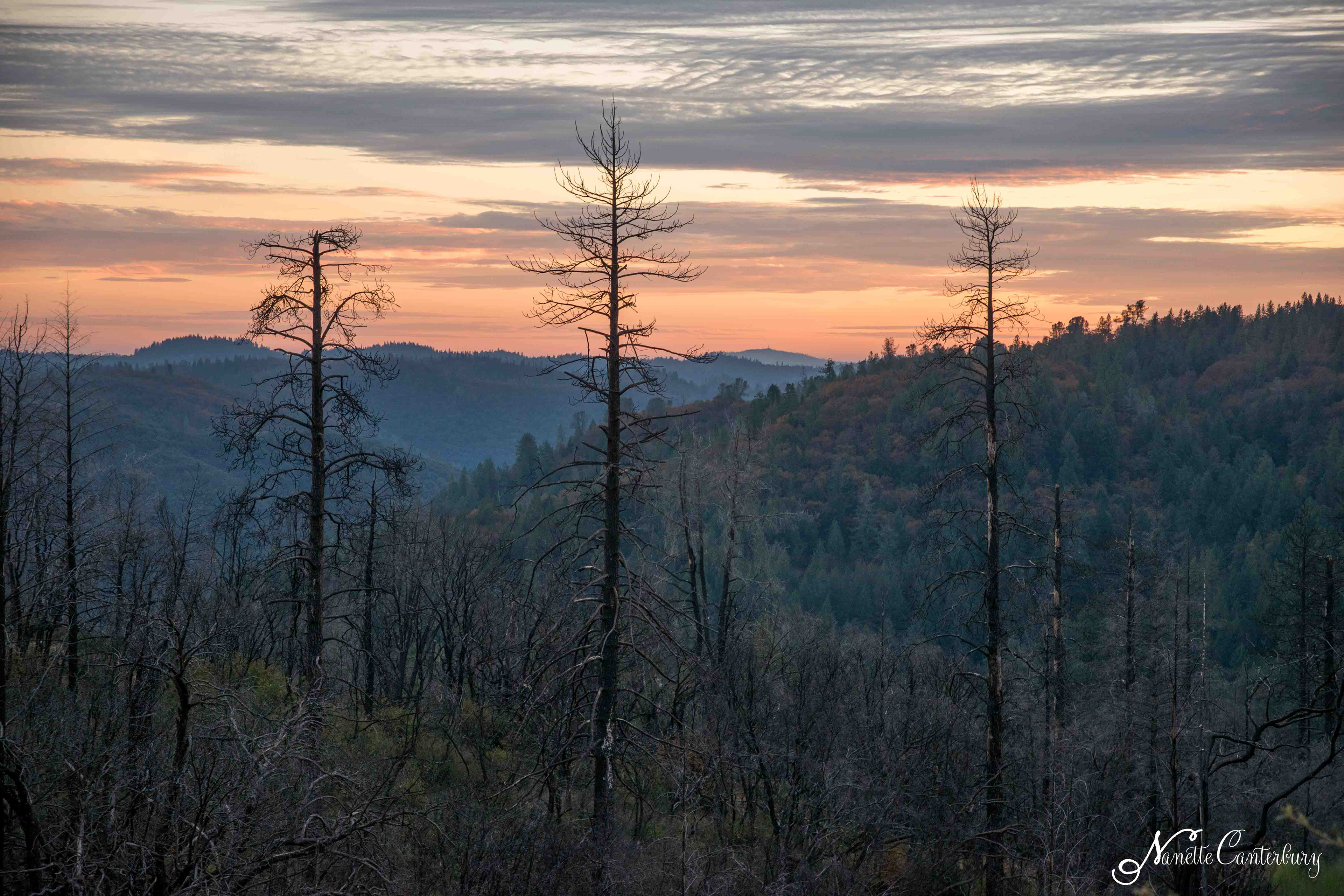 View from Keris house, Weimar, CA, Thanksgiving 2017