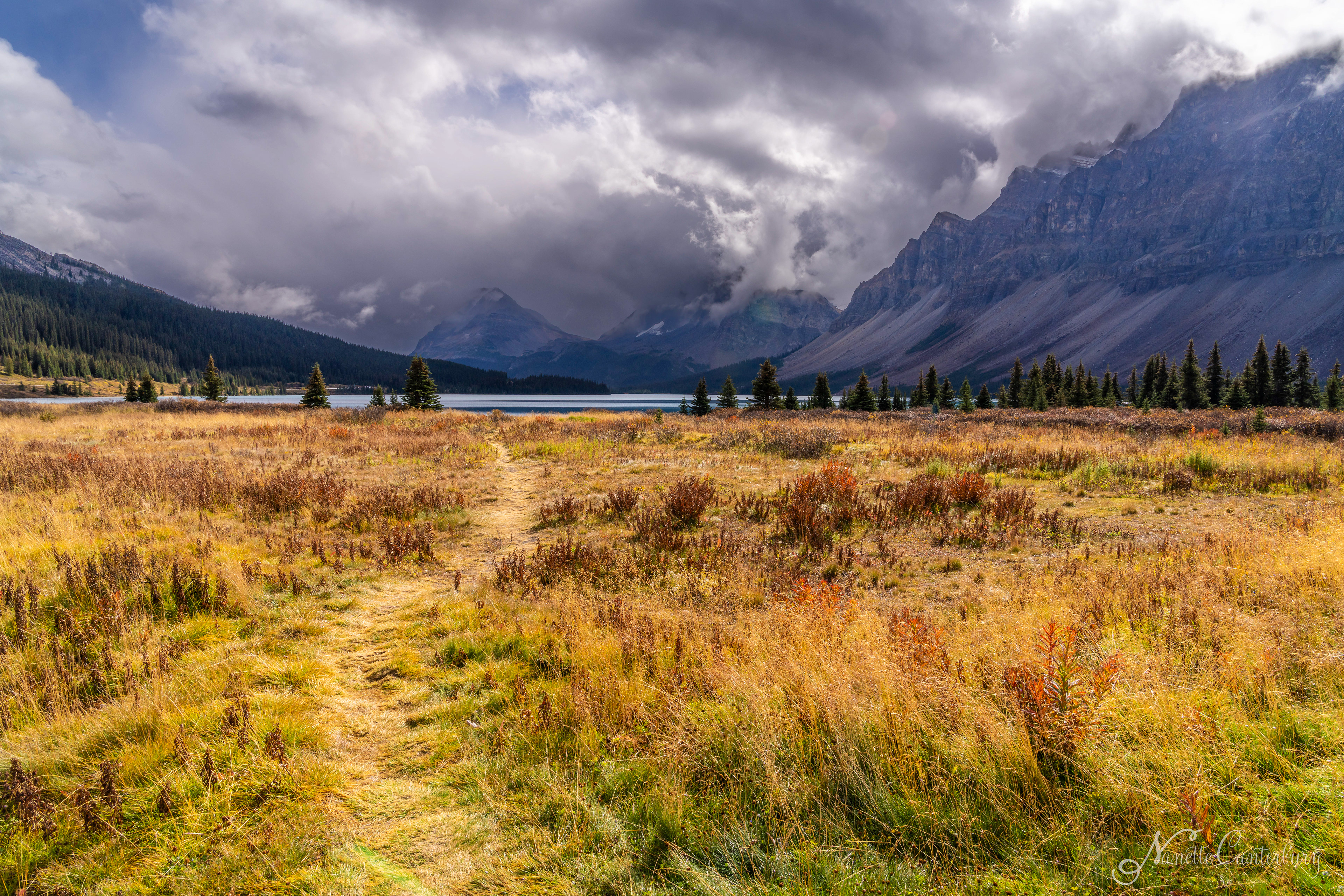 Bow Lake