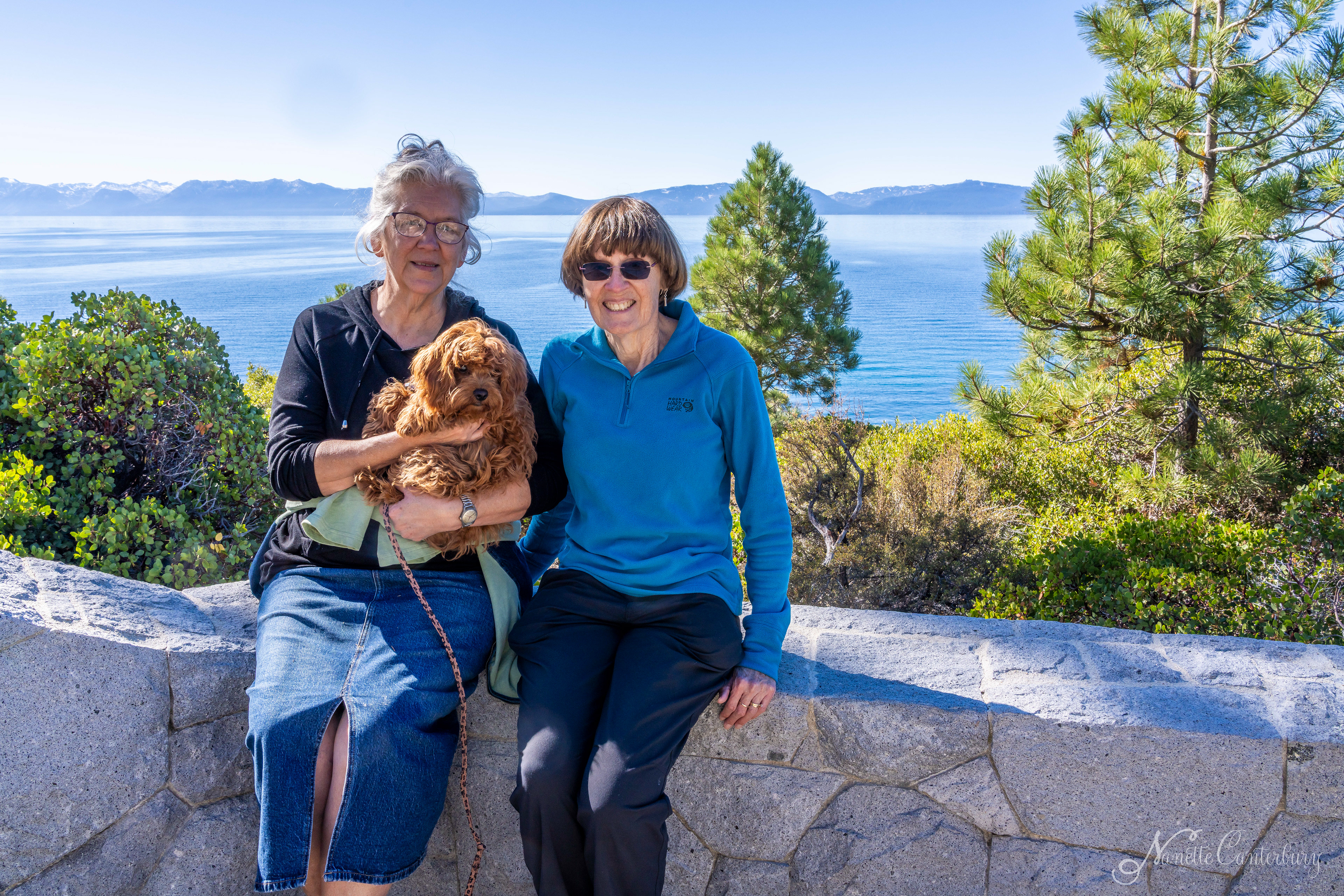 Linda, Polly, Nanette