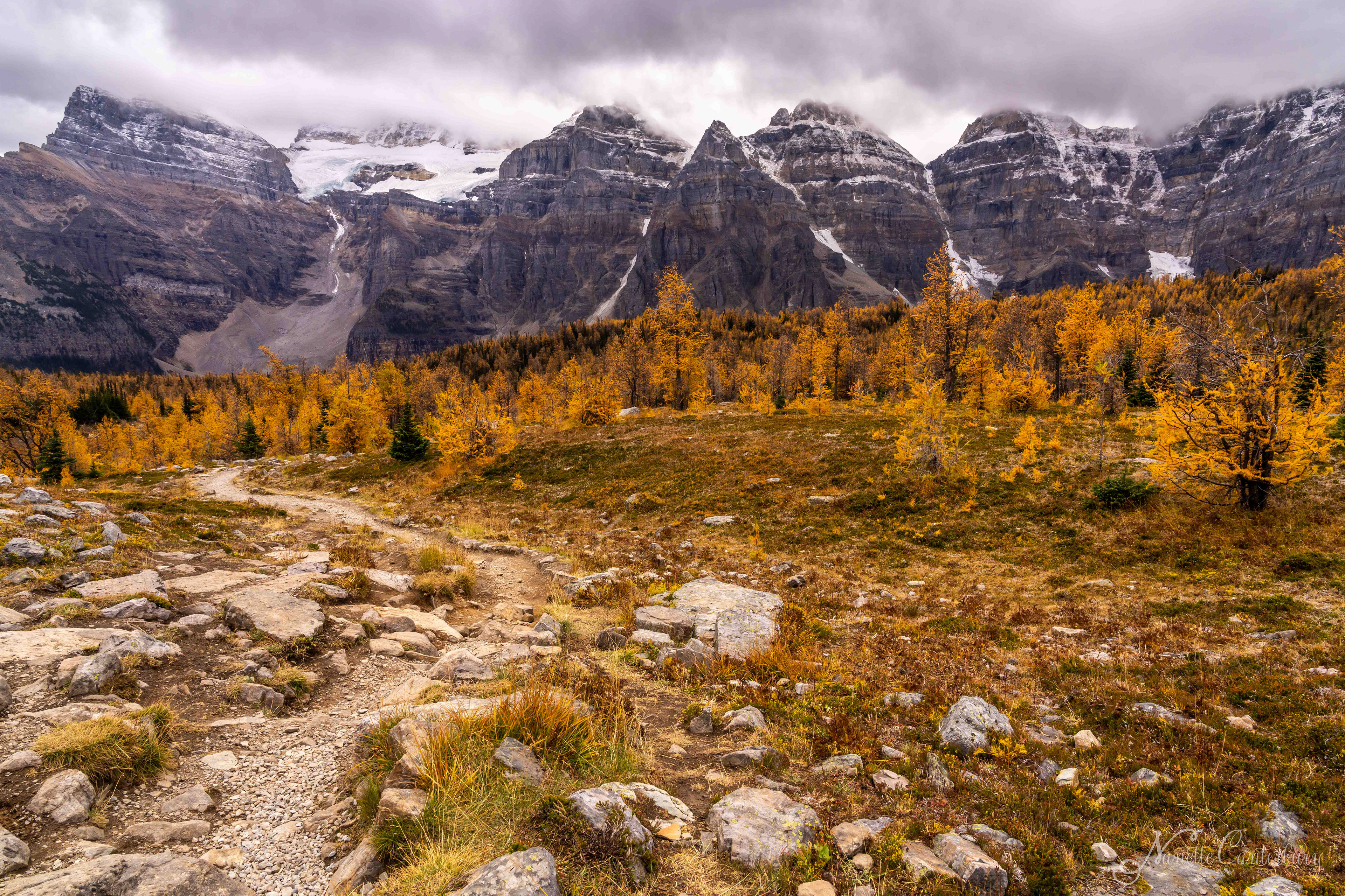 Larch Valley Trail