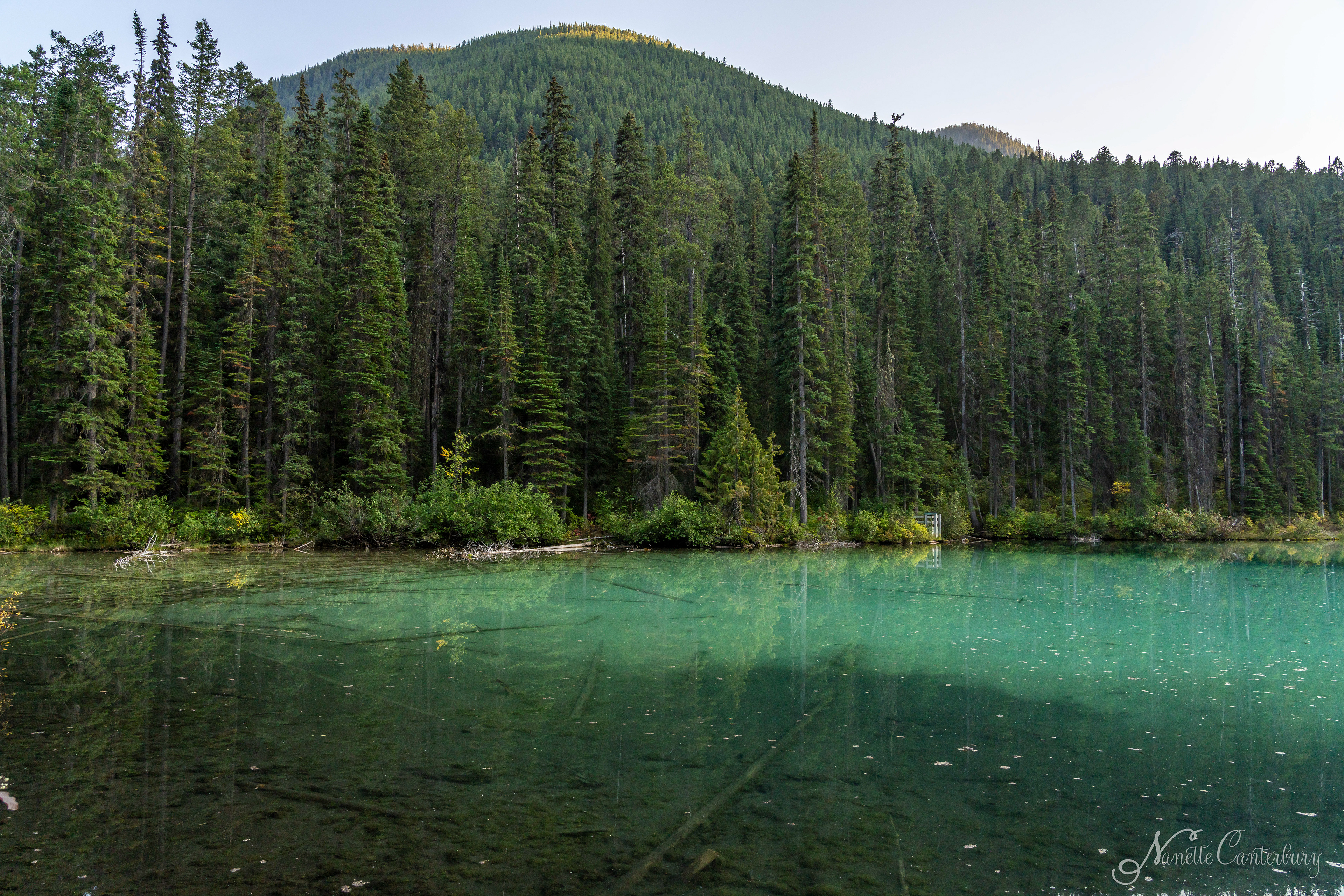 Olive Lake, Kootenay NP