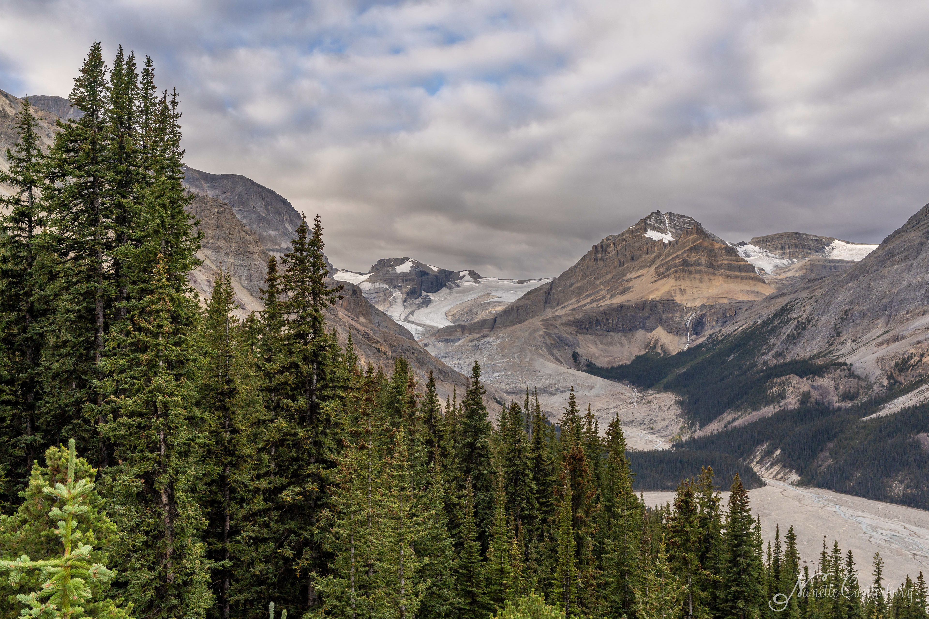 Peyto Glacier