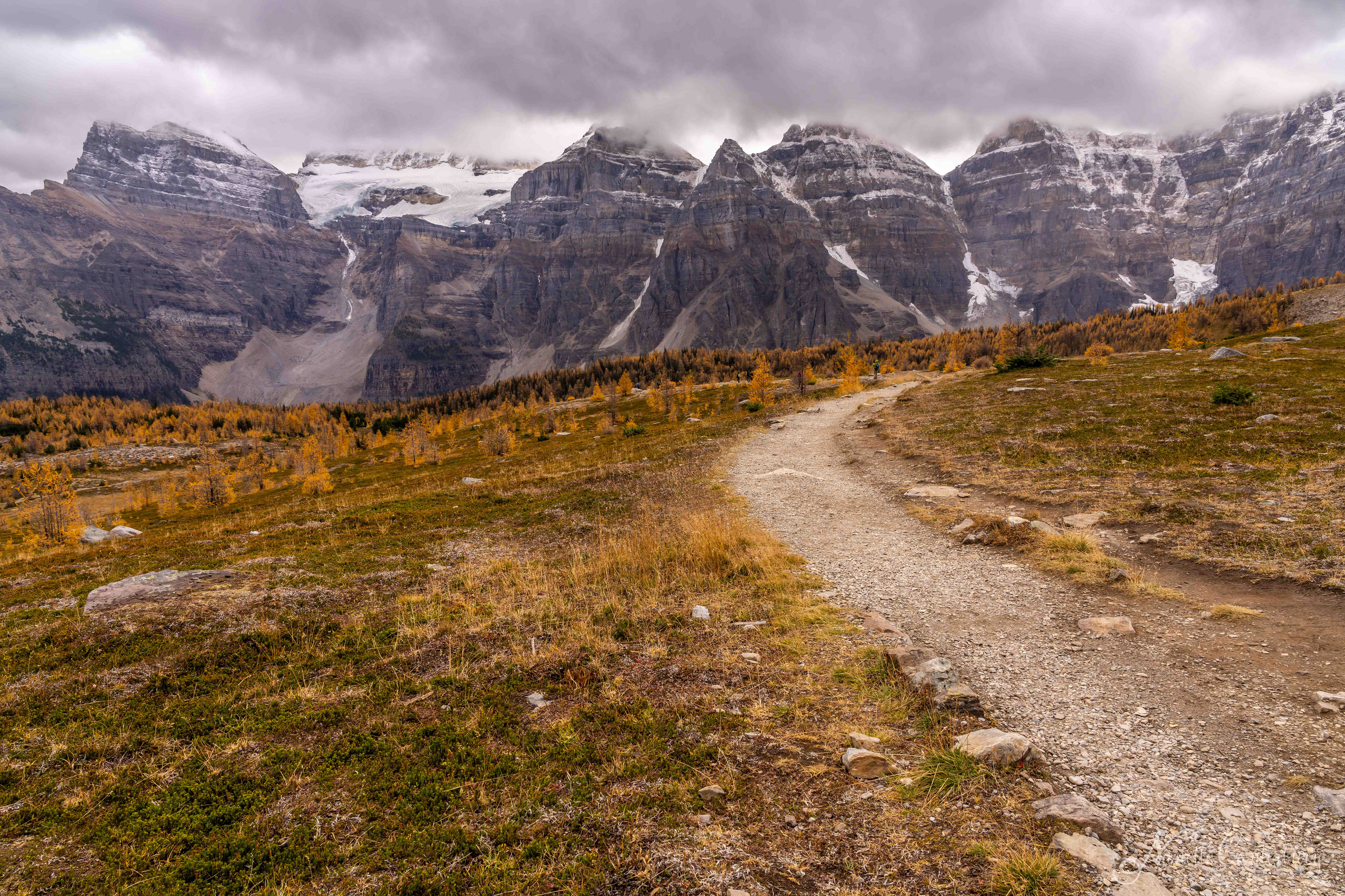 Larch Valley Trail