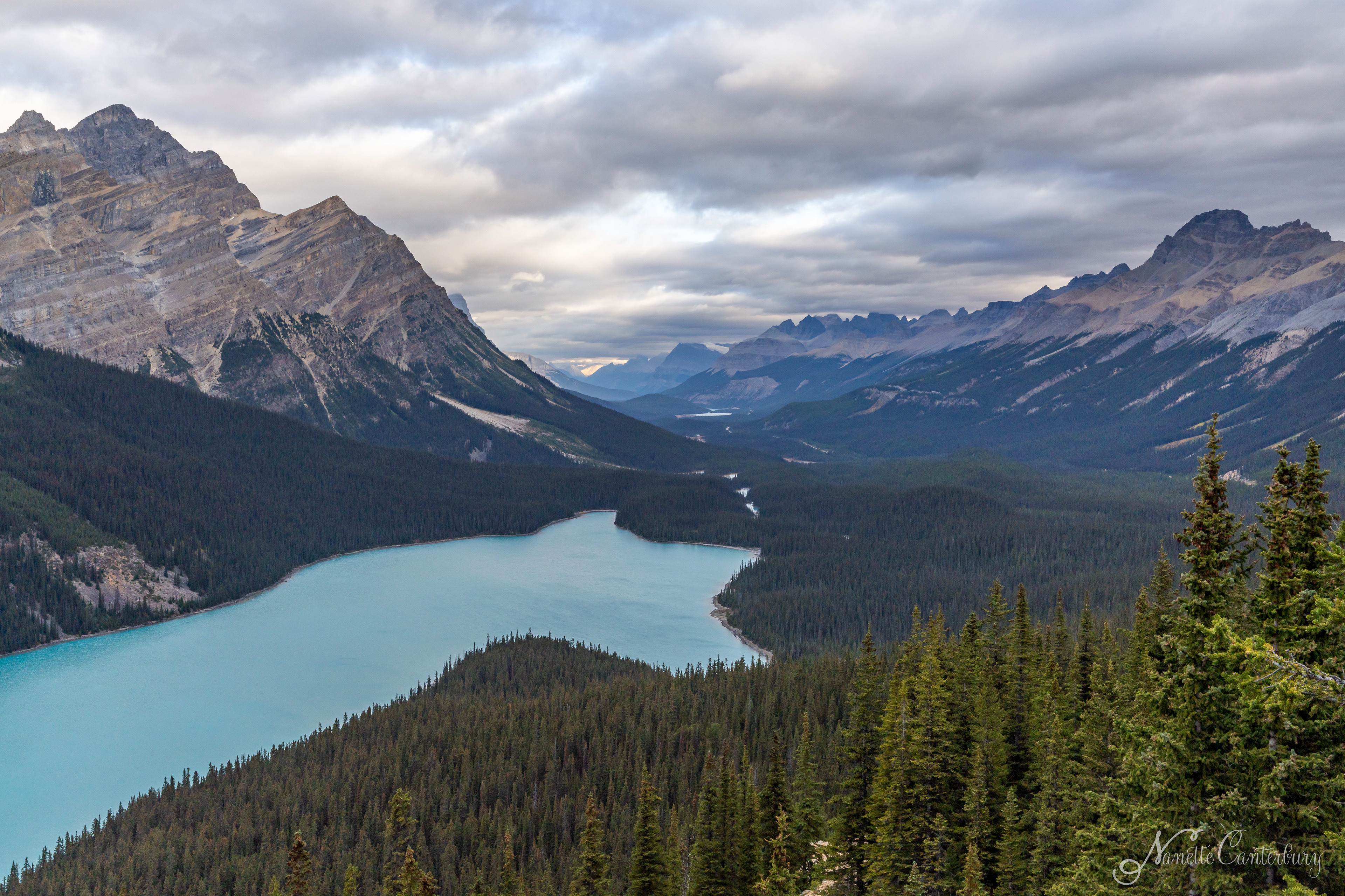 Peyto Laje