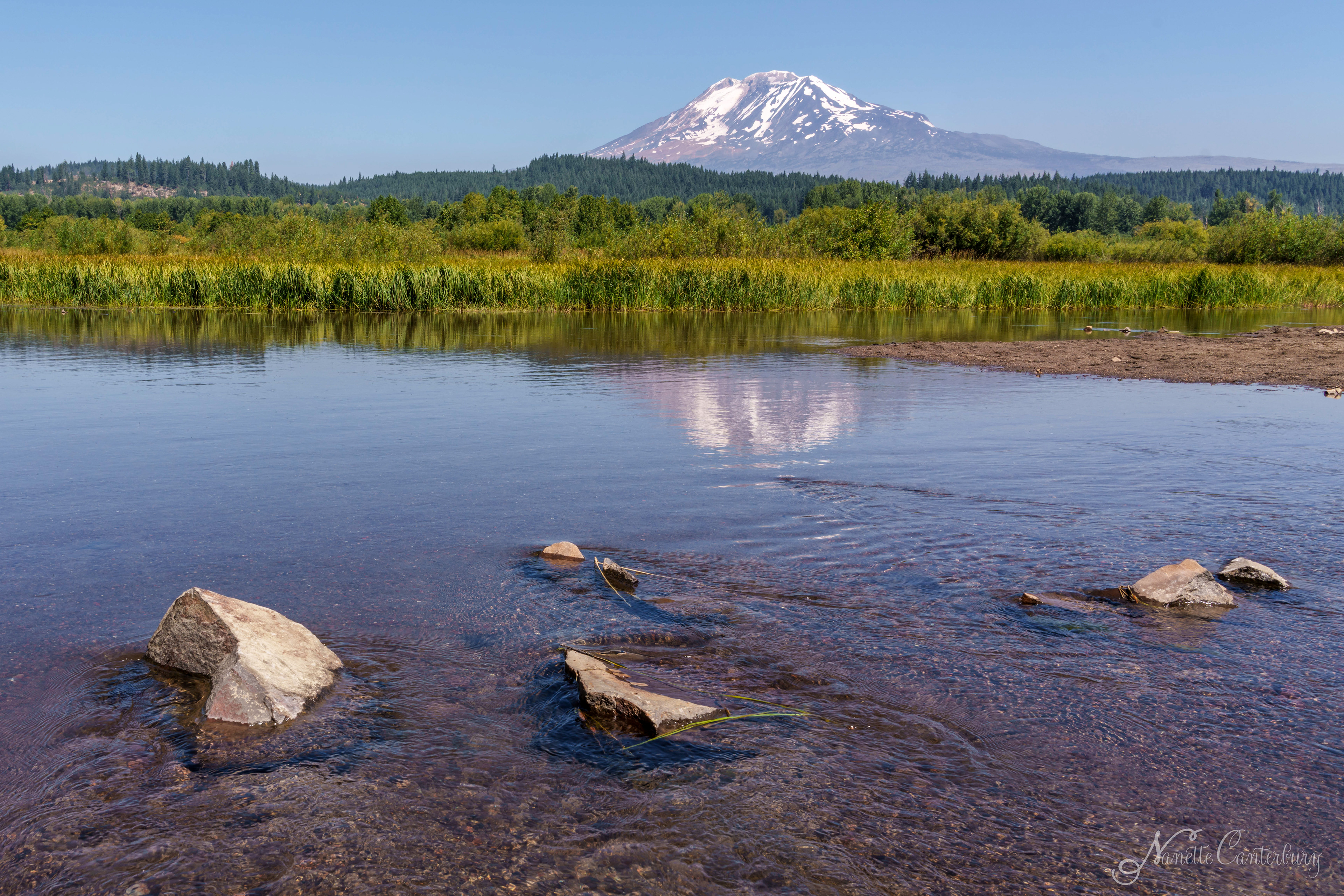 Mt Adams - Trout Lake