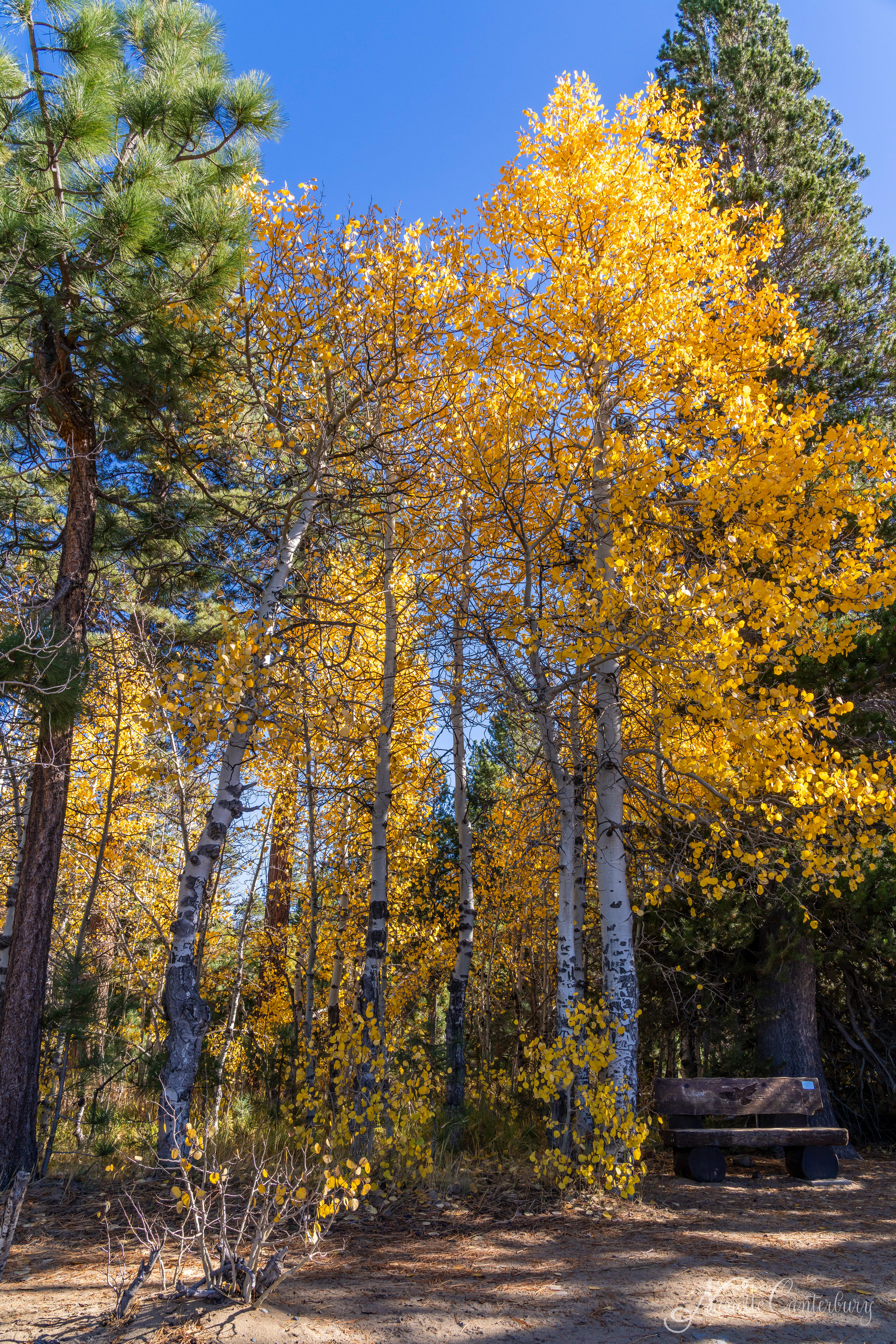 Tallac Point / Kiva Beach