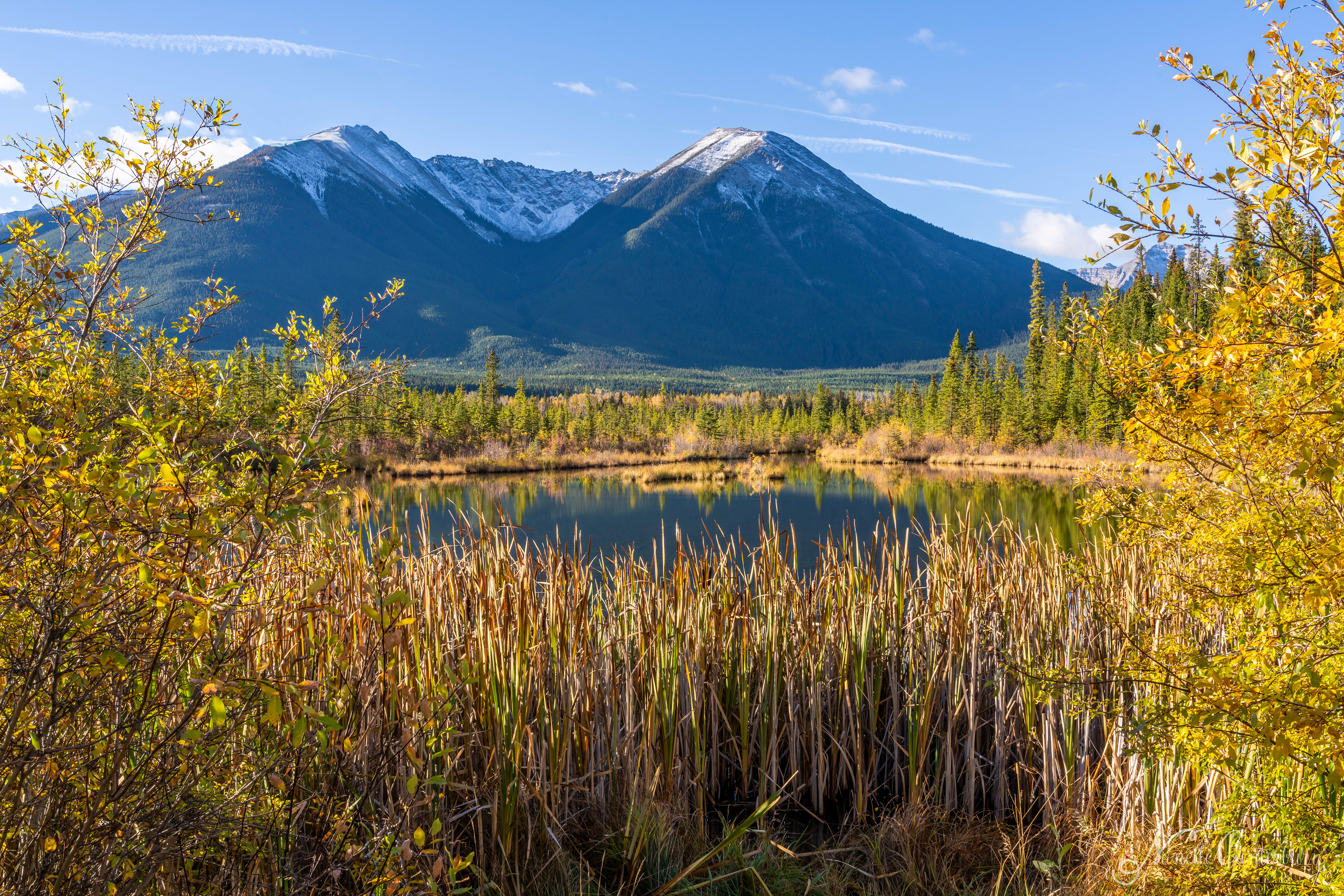 Vermillion Lakes