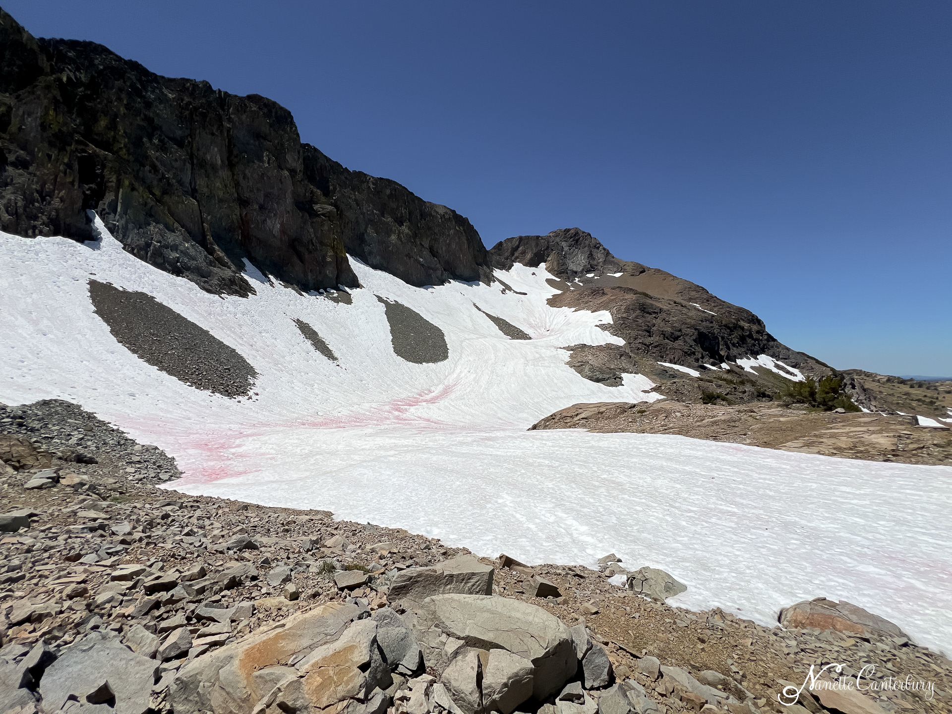 We hiked across this slippery snow.