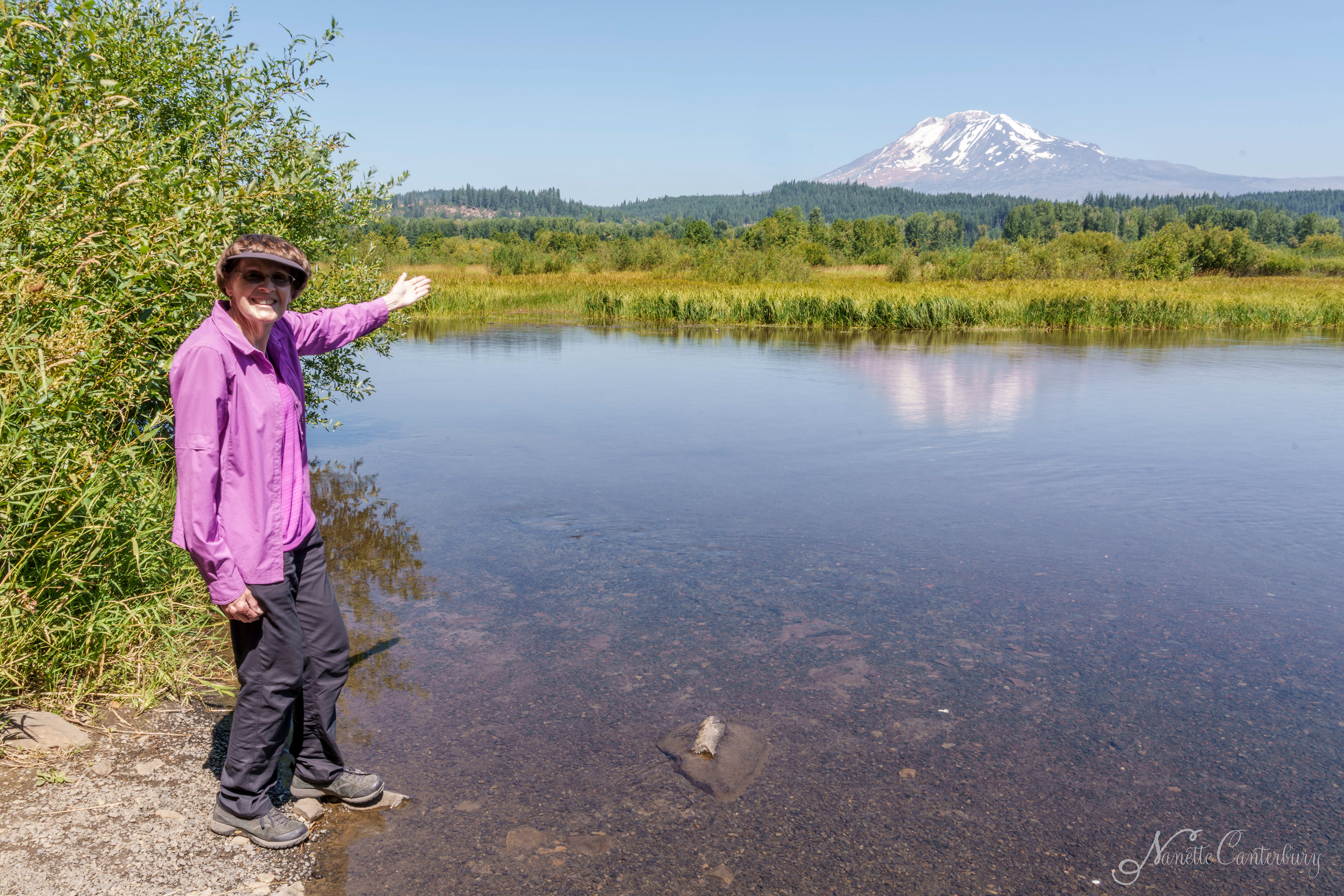 Mt Adams - Trout Lake