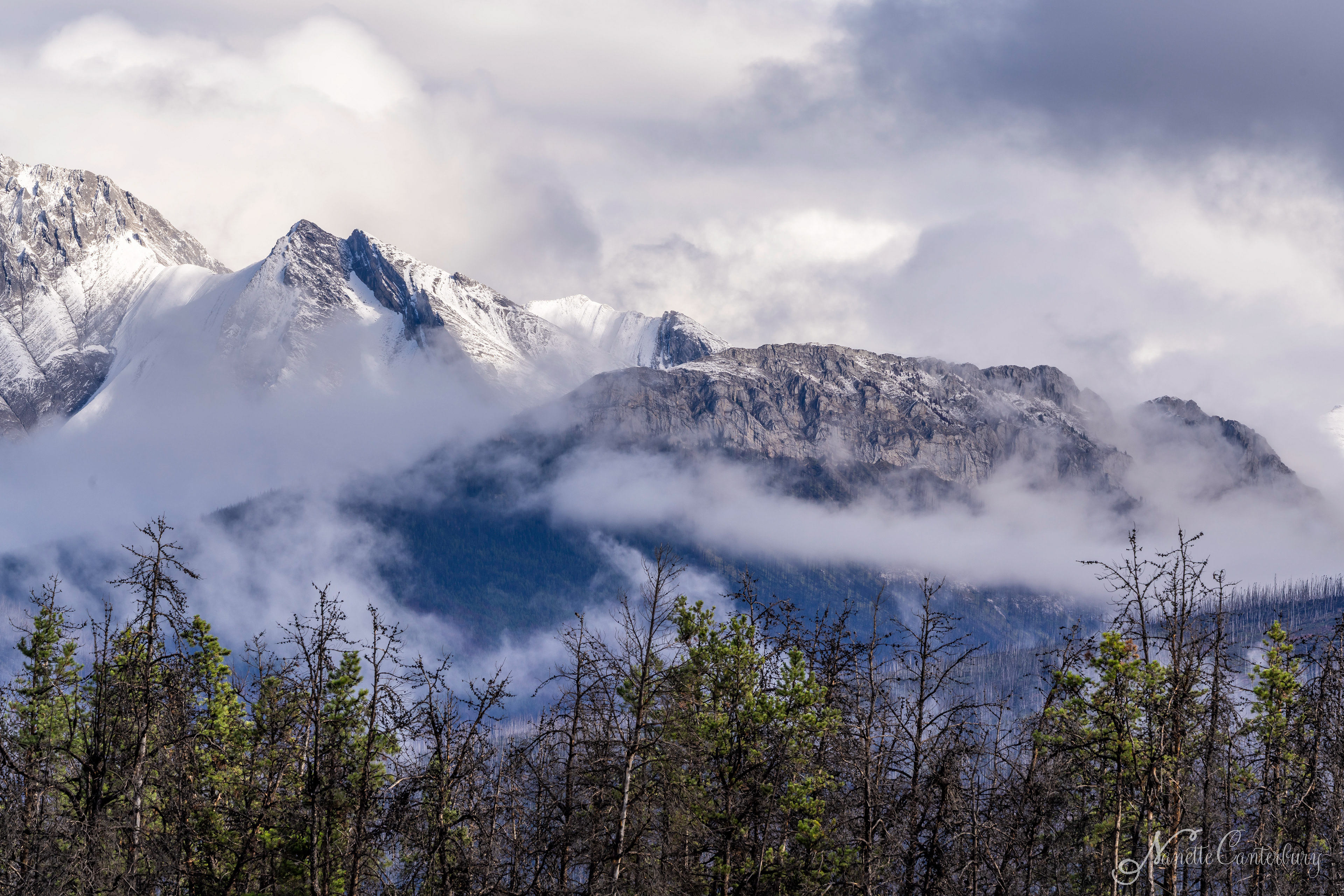 Jasper NP