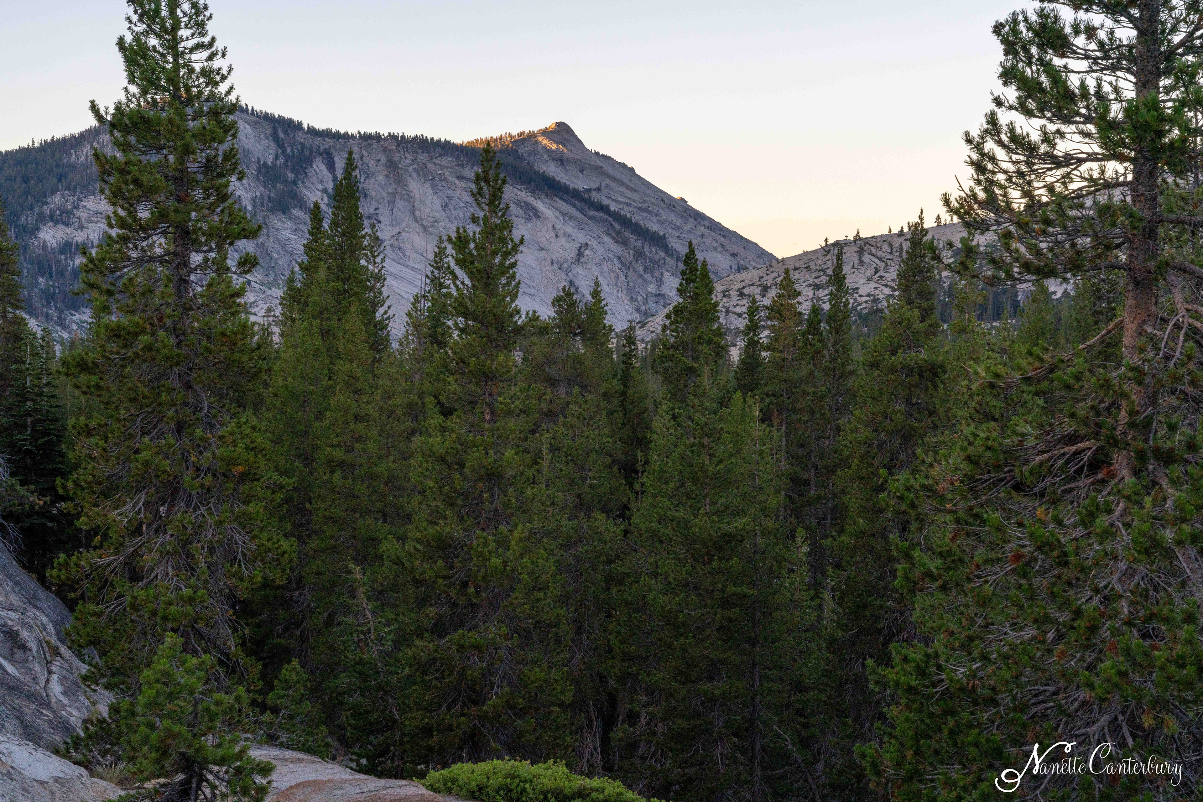 Clouds Rest Trail