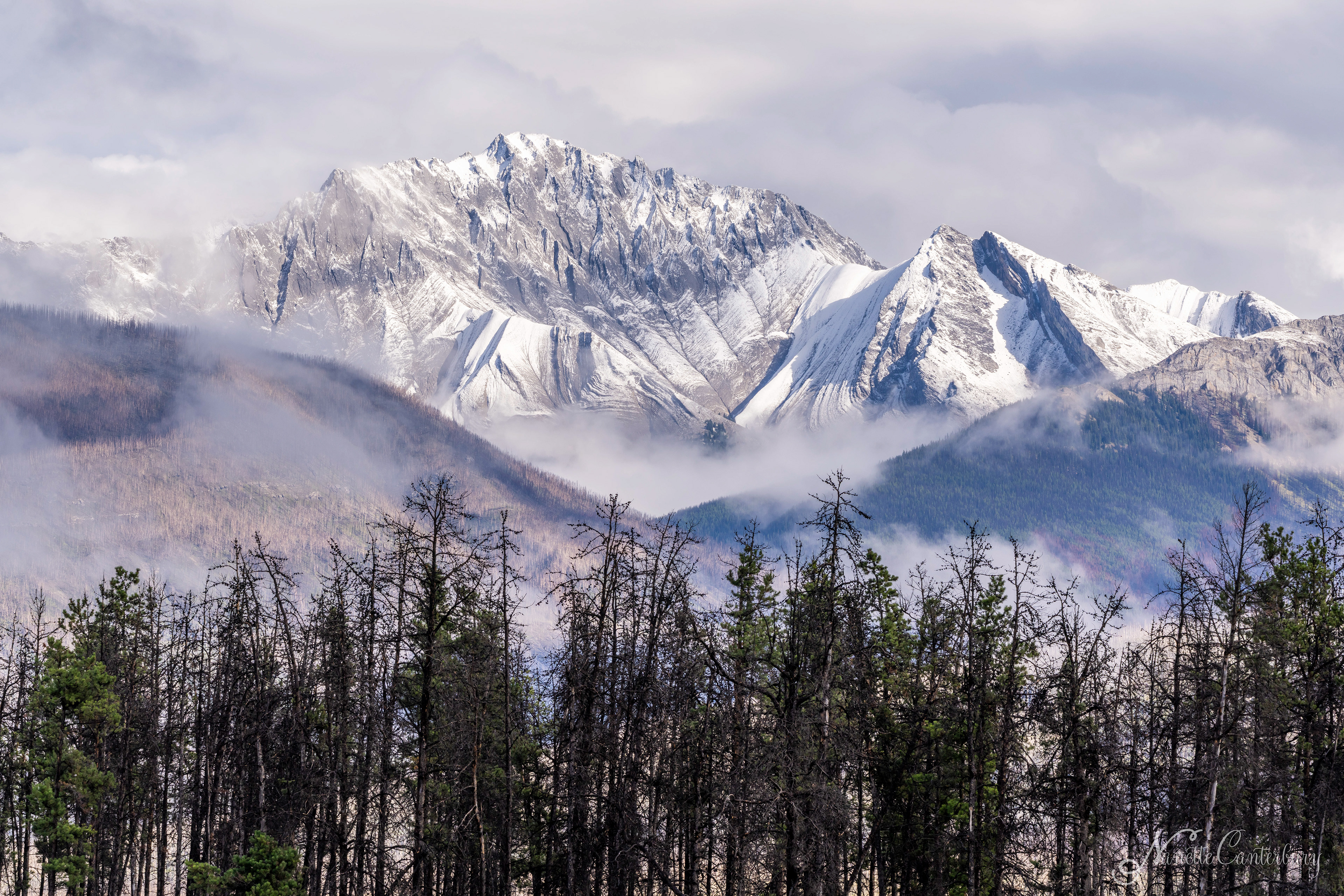 Jasper NP