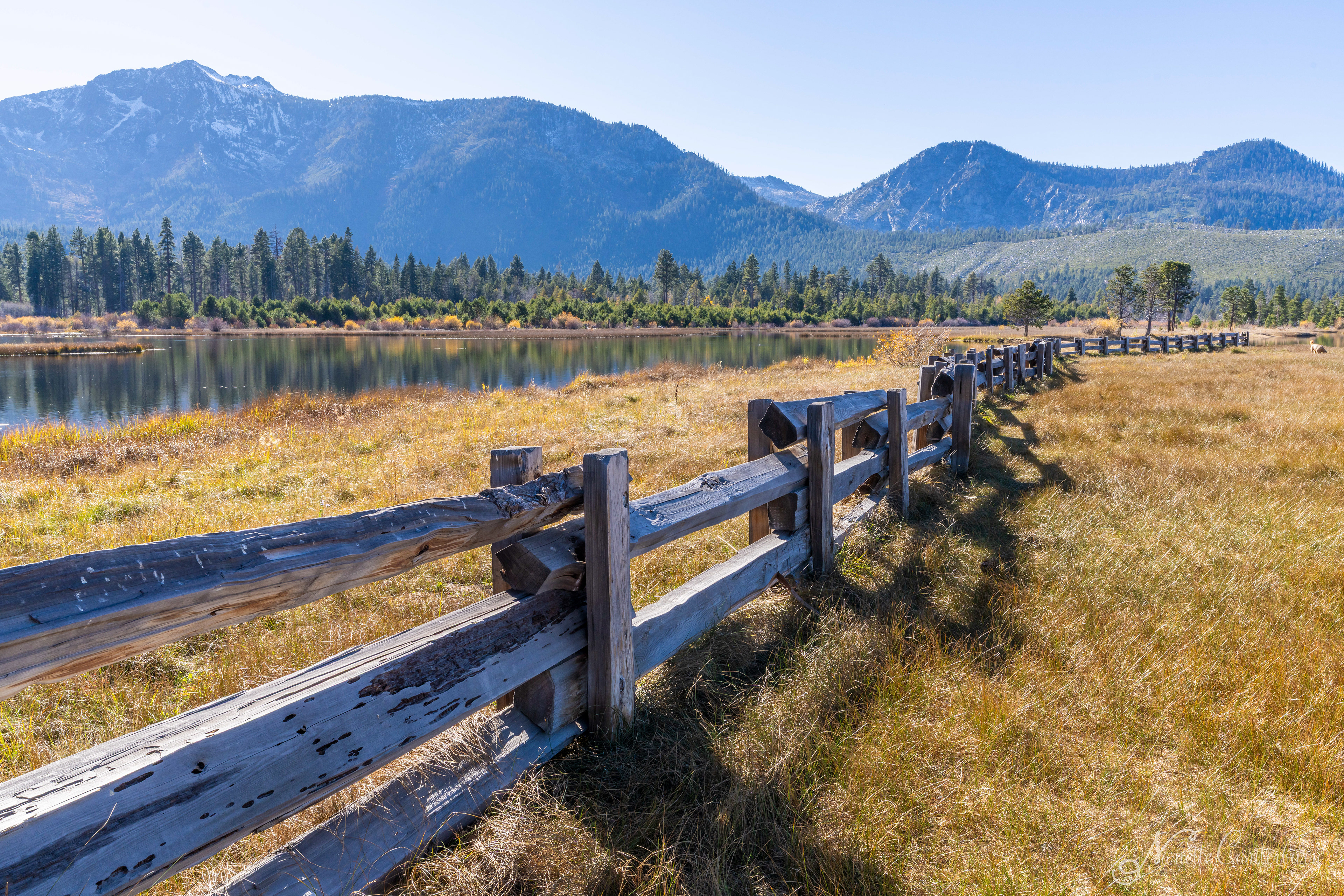 Taylor Creek Marsh