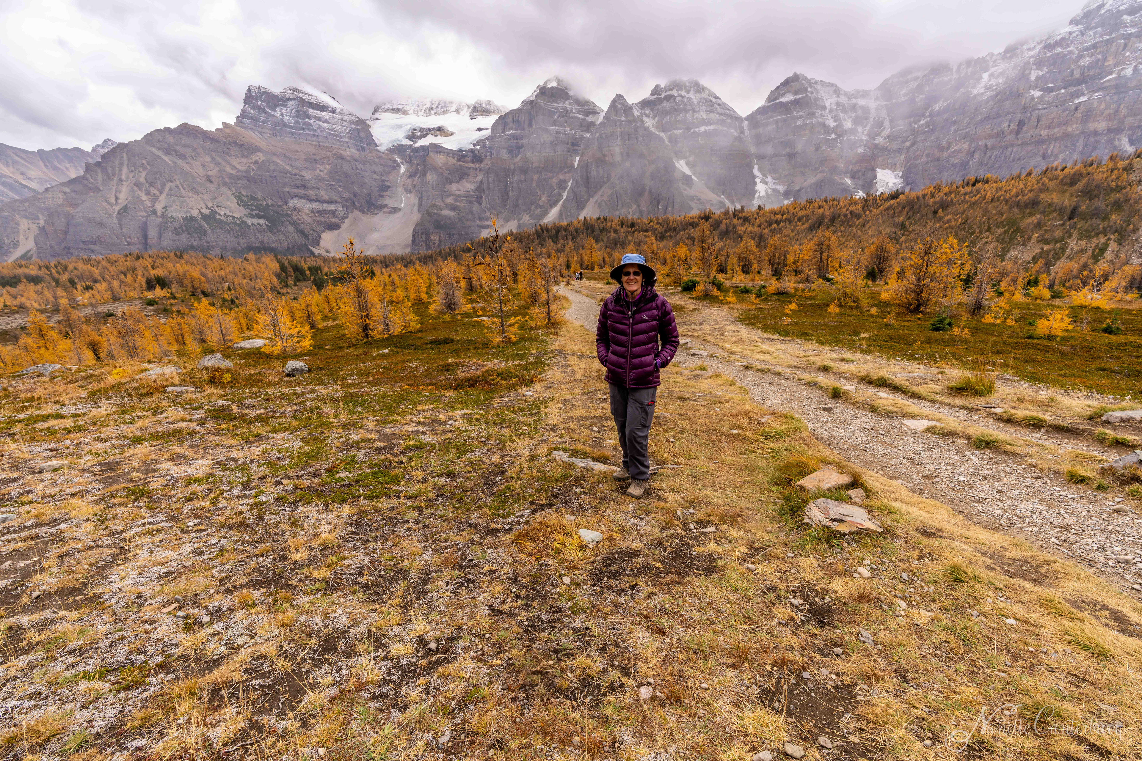 Larch Valley Trail