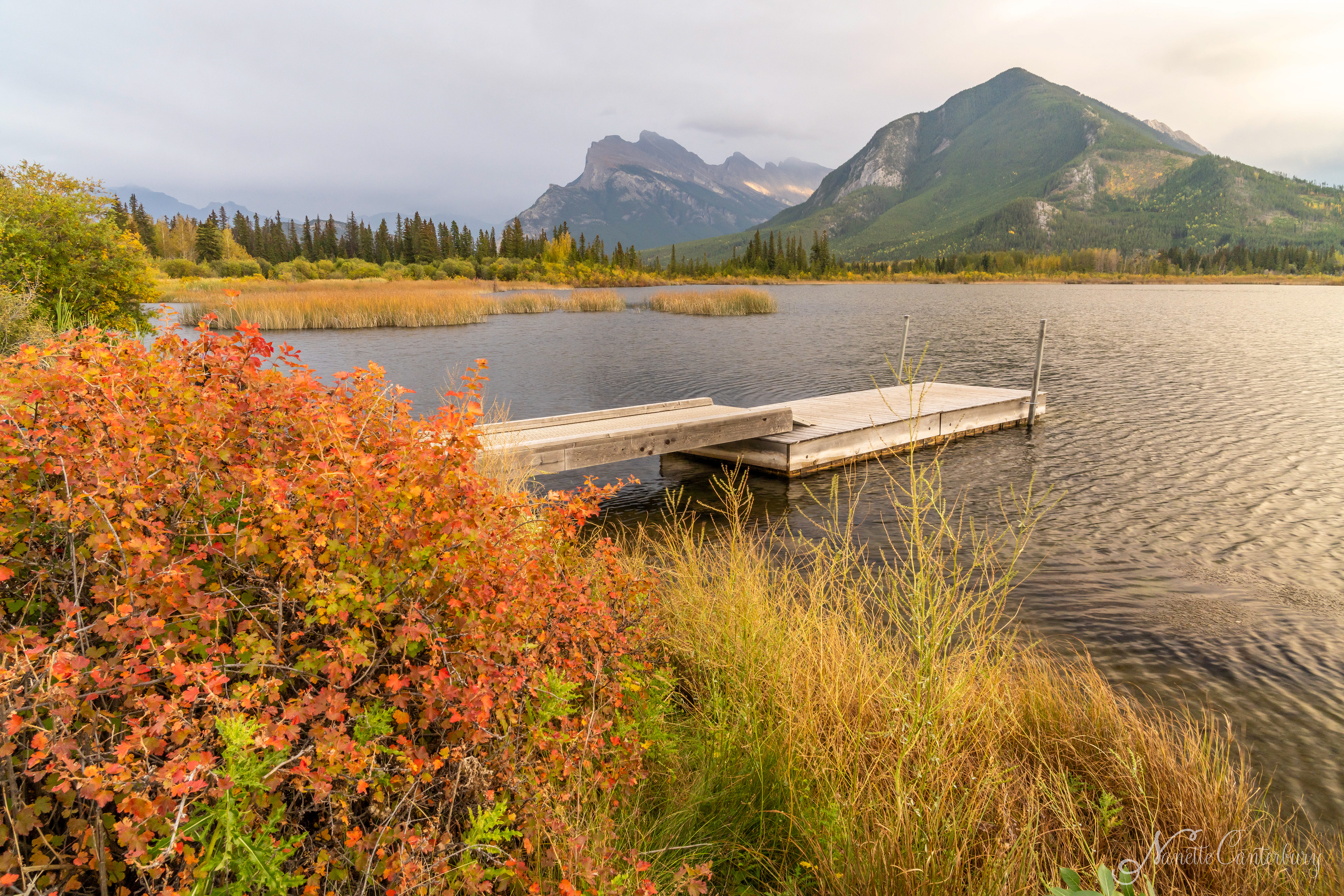 Vermillion Lakes