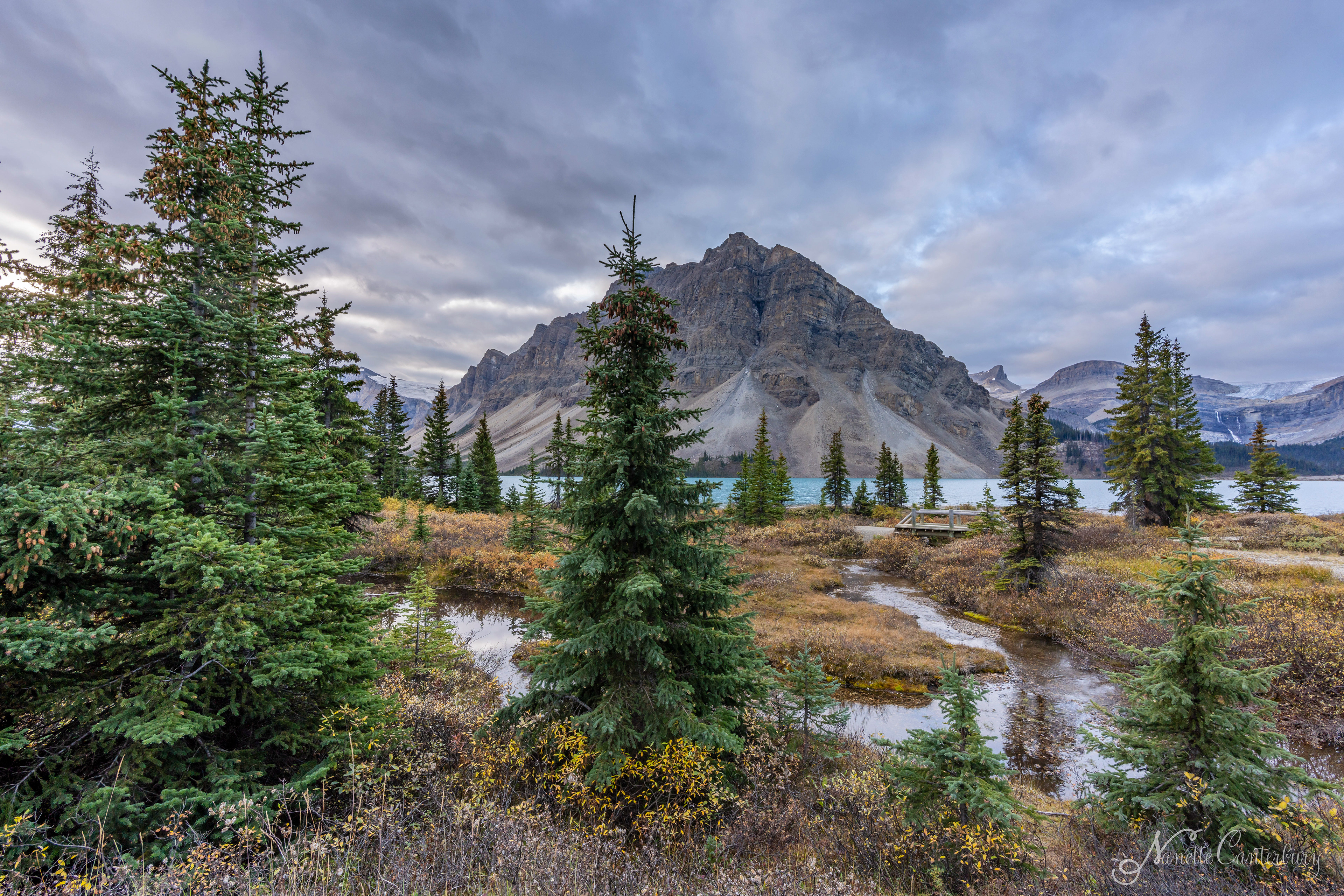 Bow Lake
