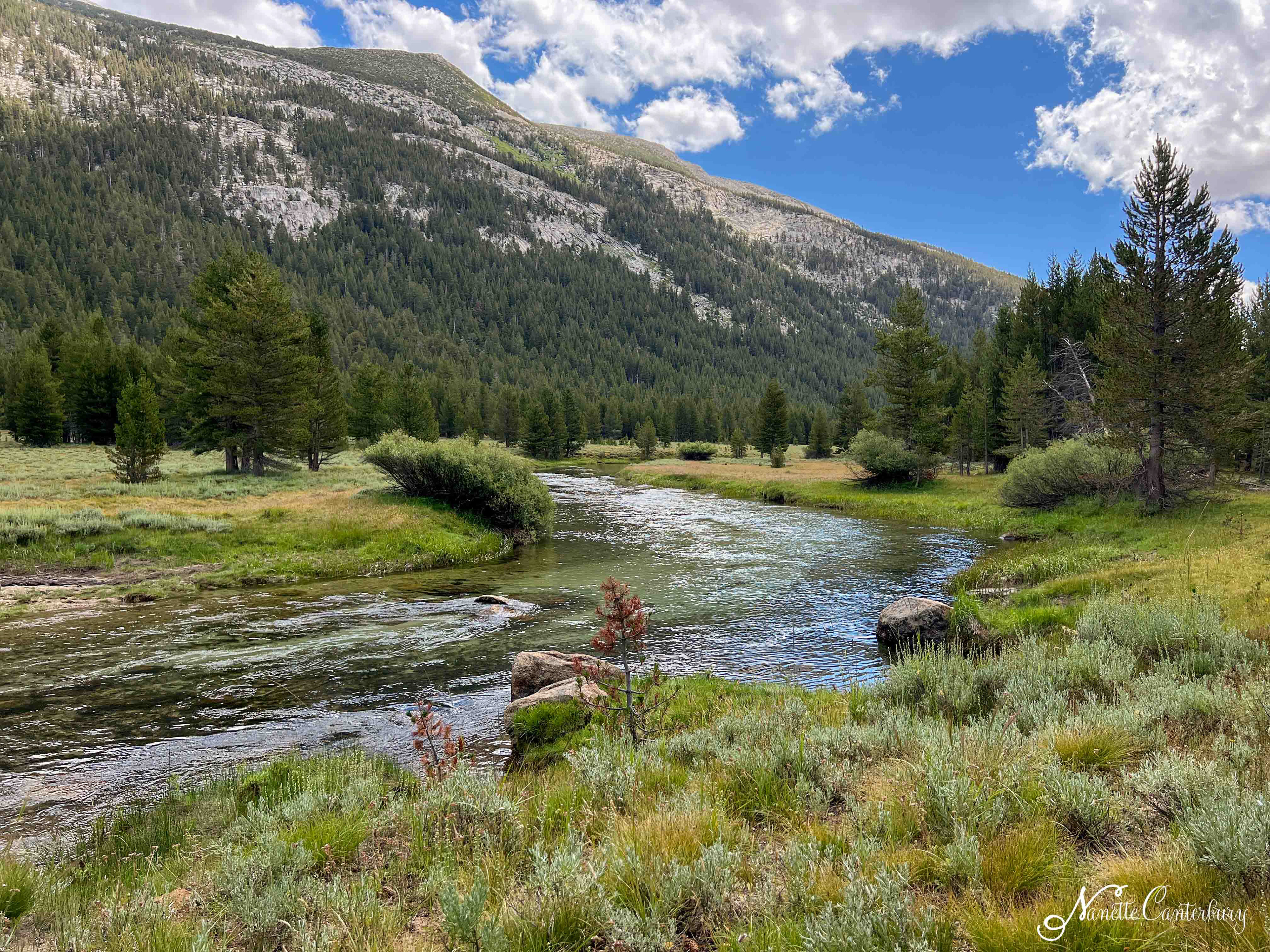 Tuolumne Meadows