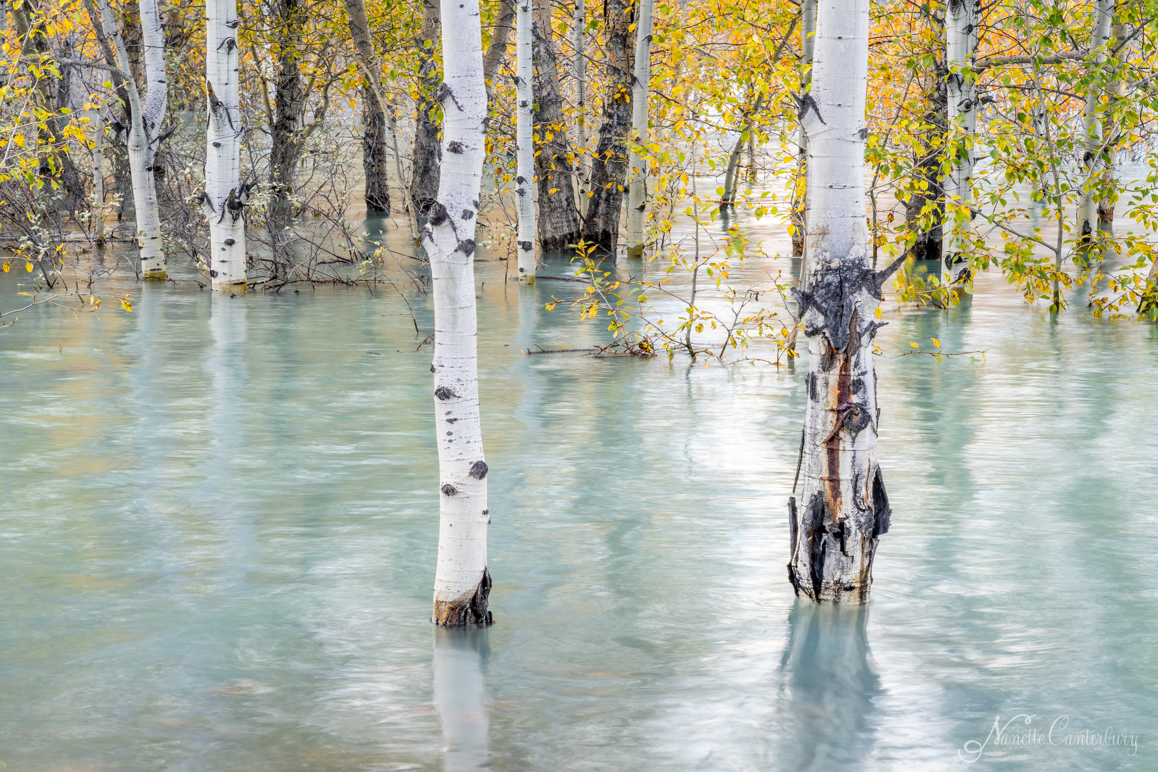 Abraham Lake