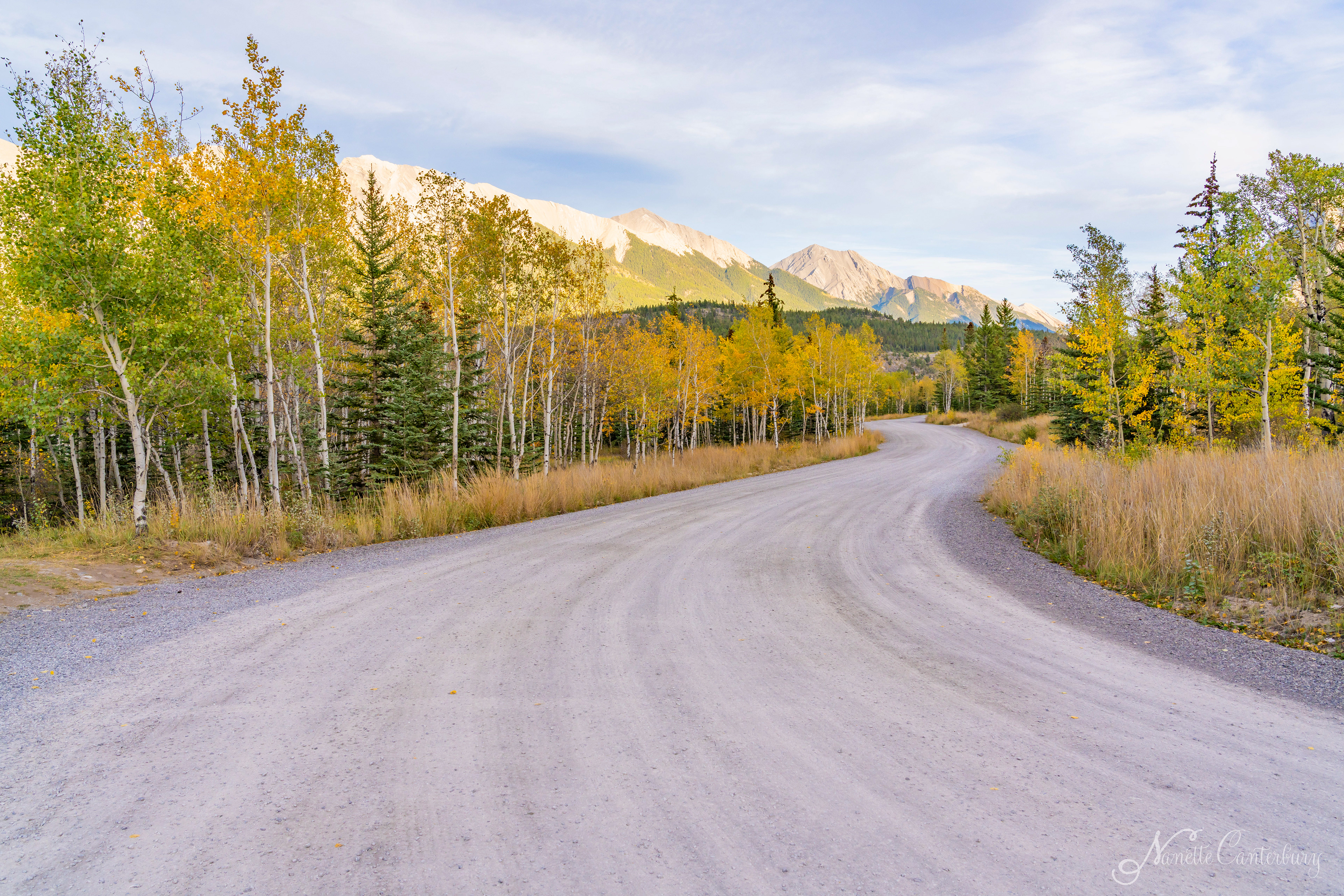 Abraham Lake Campground