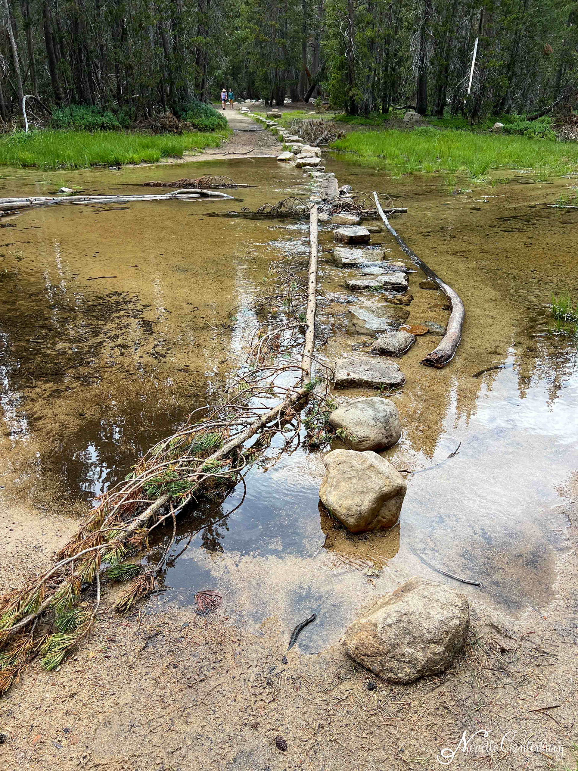 Clouds Rest Trail