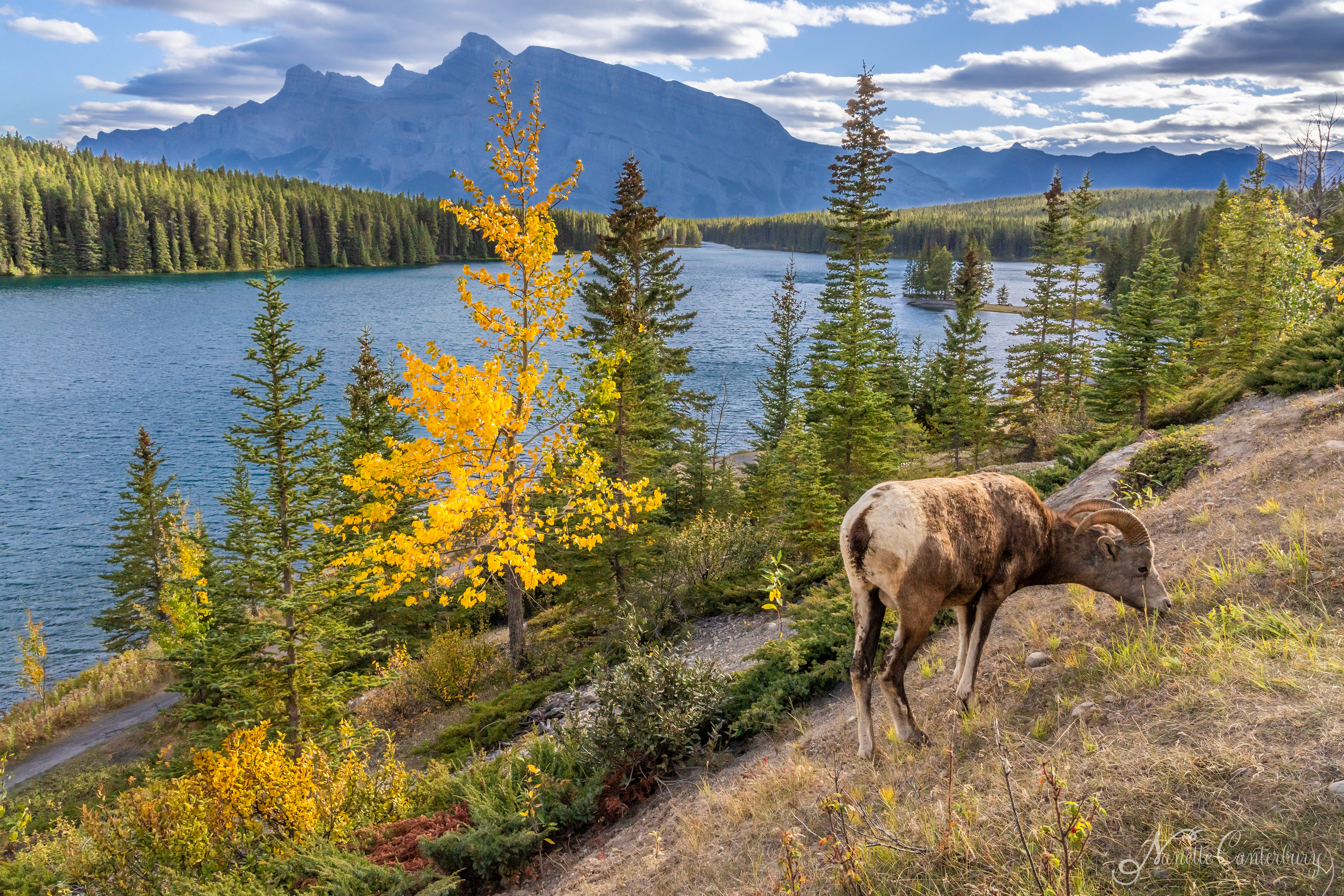Two Jack Lake